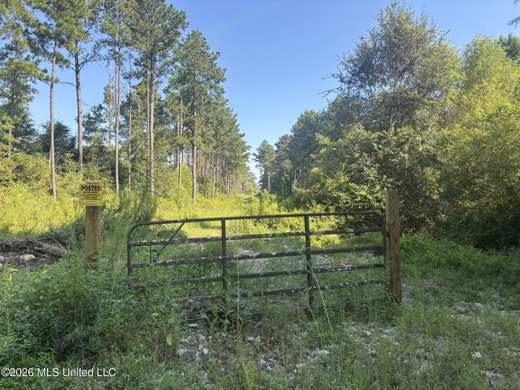 0 E Doc Clark Road Property Photo 13