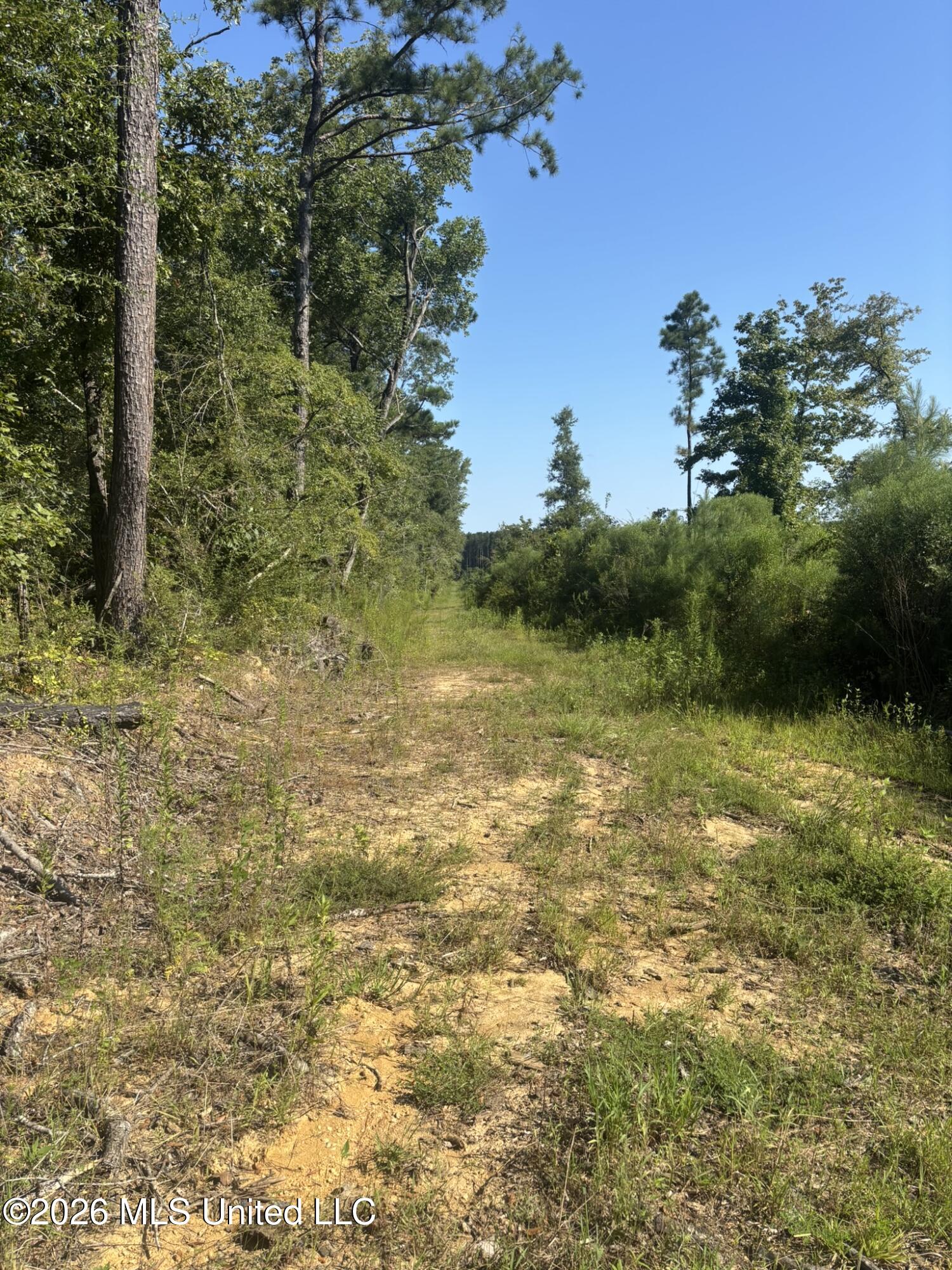 0 E Doc Clark Road Property Photo 14