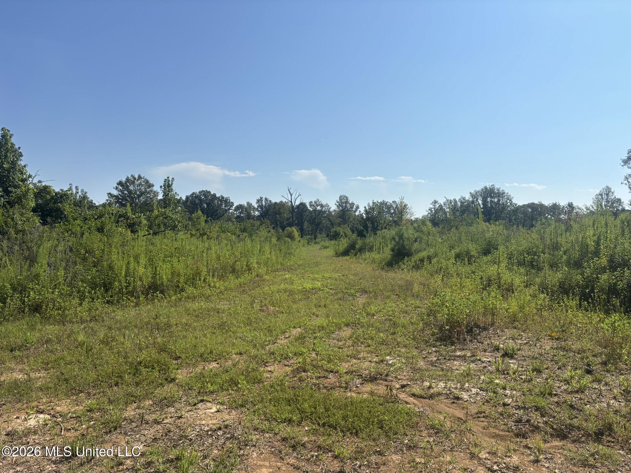0 E Doc Clark Road Property Photo 15