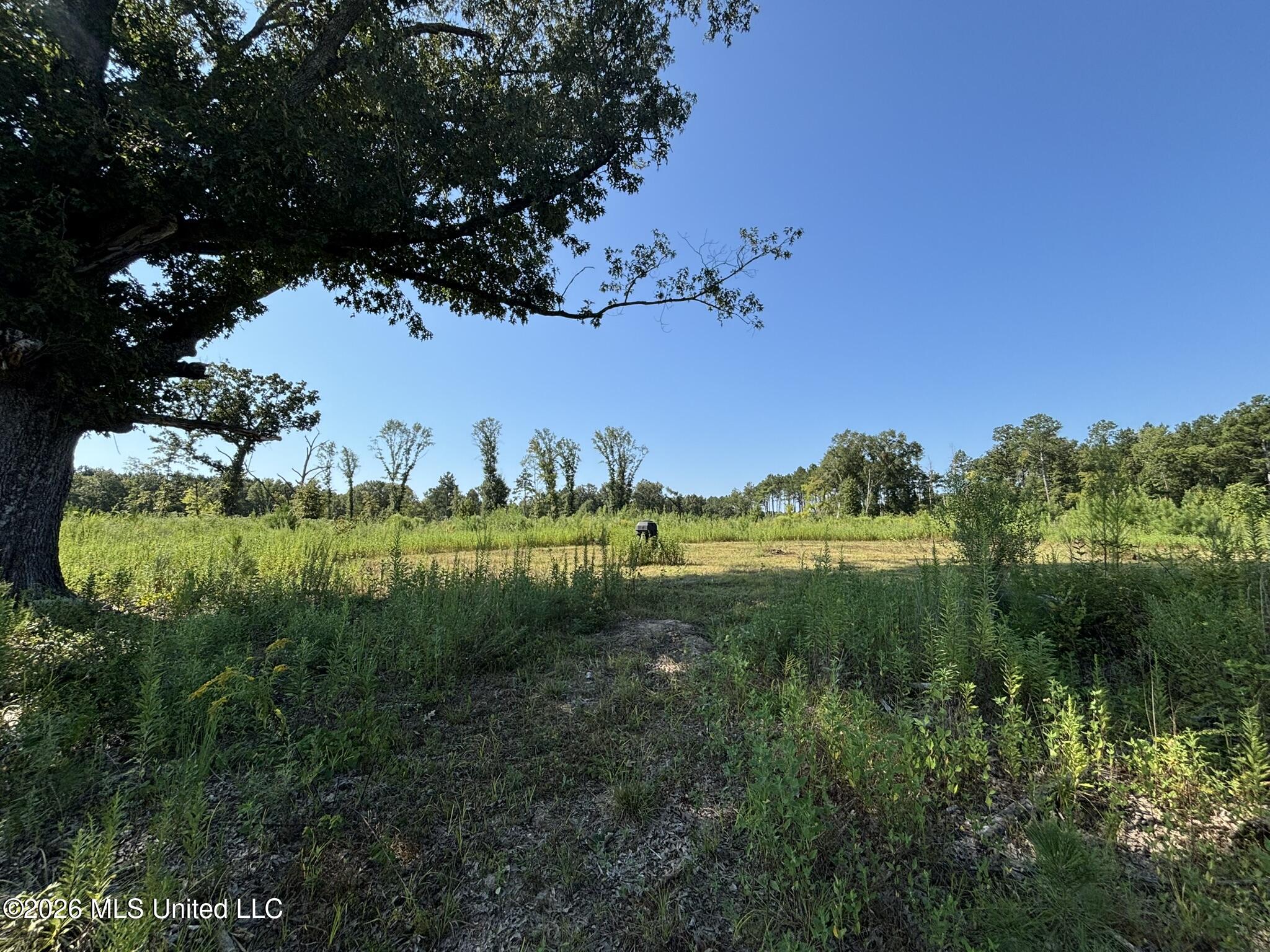 0 E Doc Clark Road Property Photo 16