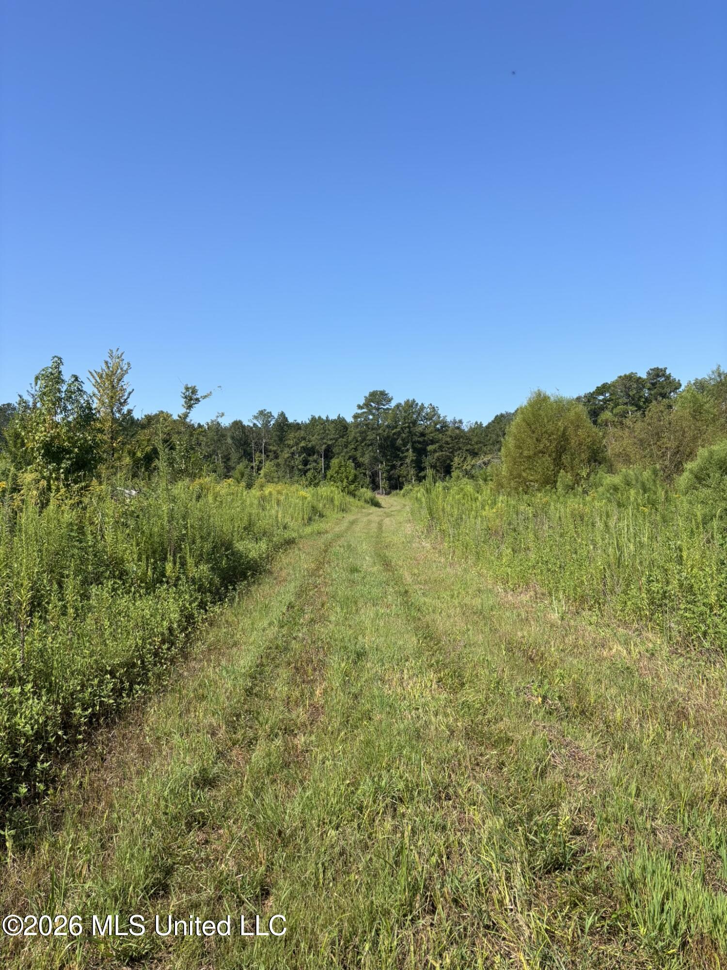 0 E Doc Clark Road Property Photo 18