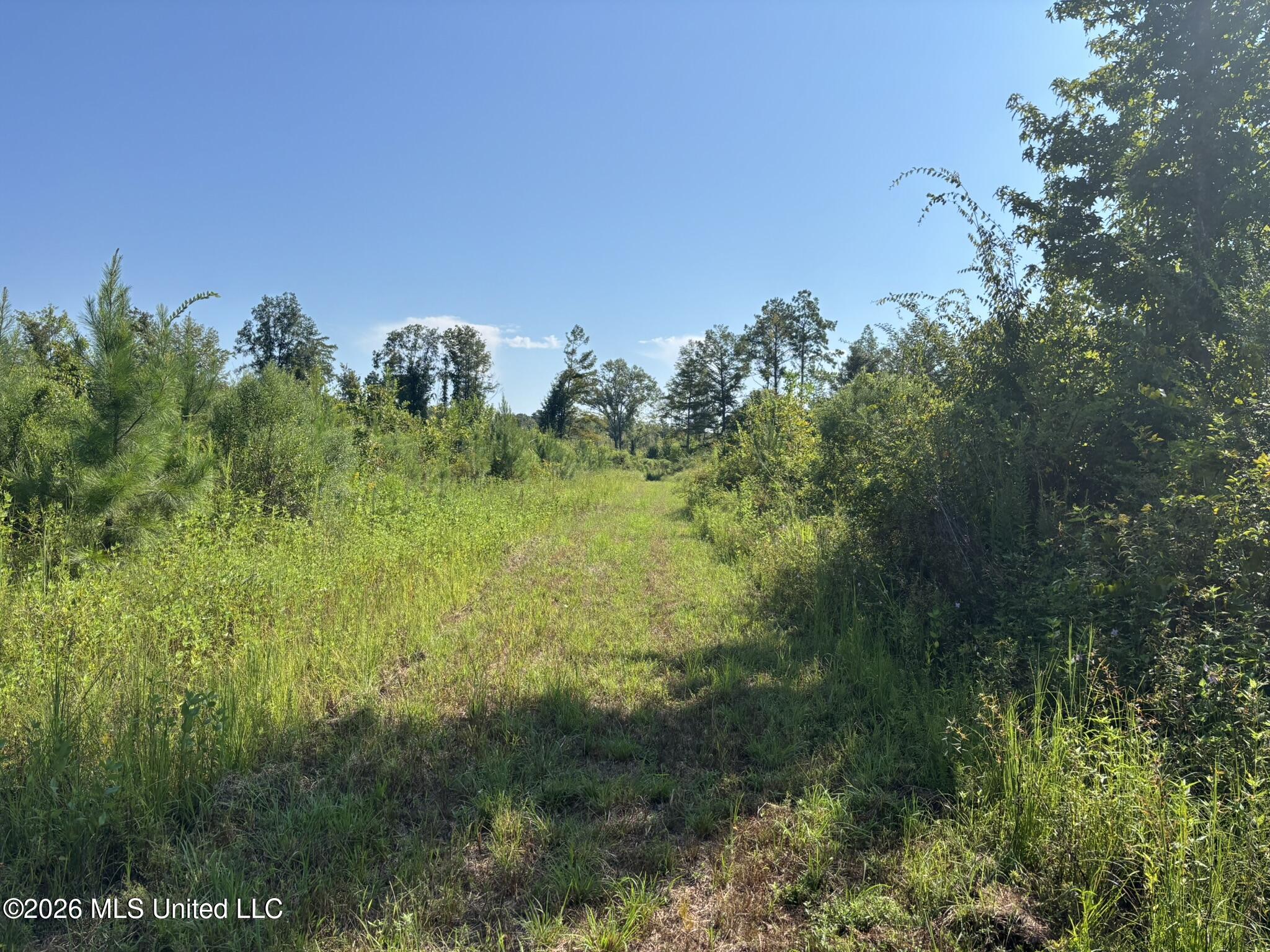 0 E Doc Clark Road Property Photo 19