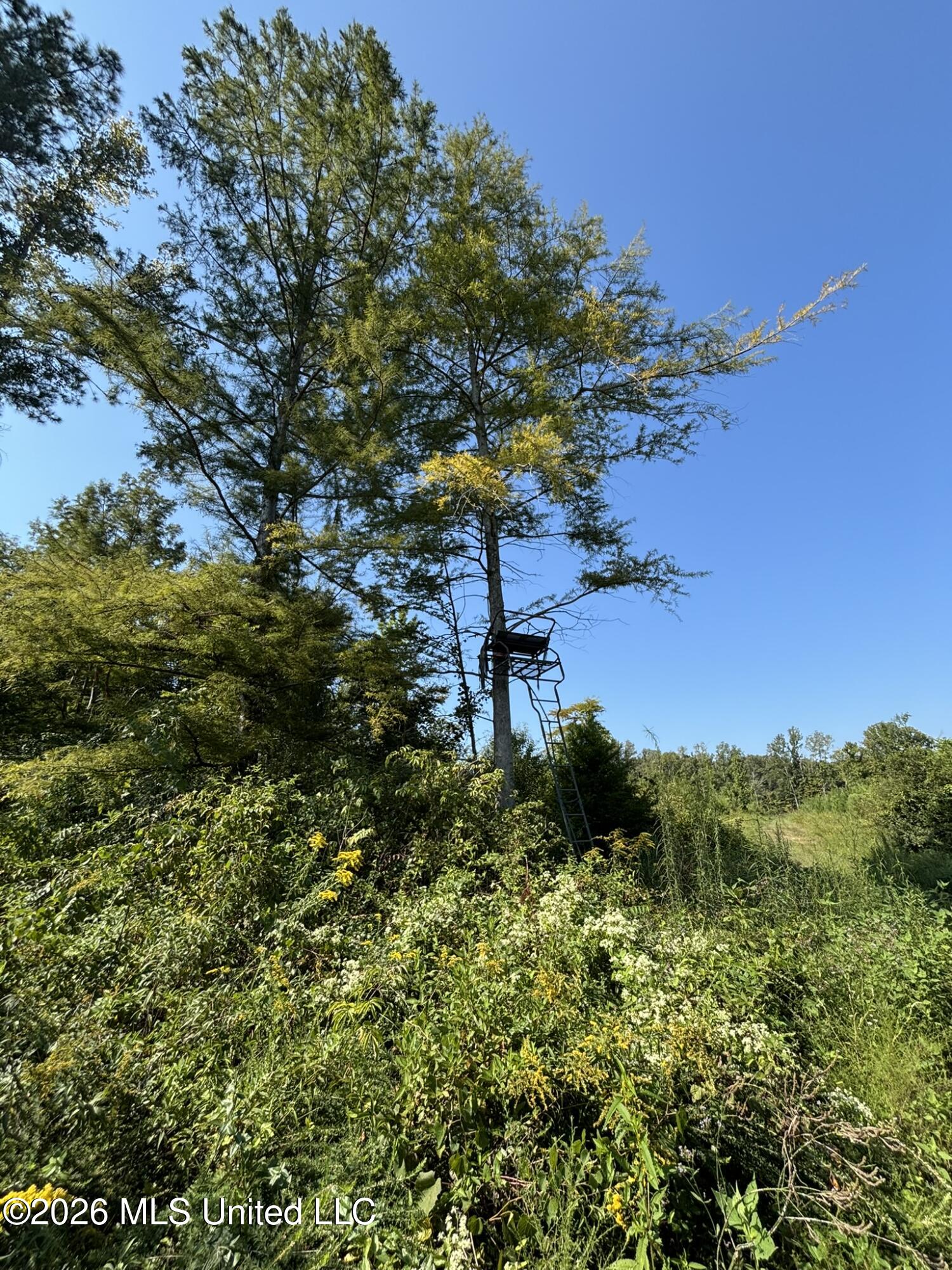 0 E Doc Clark Road Property Photo 20