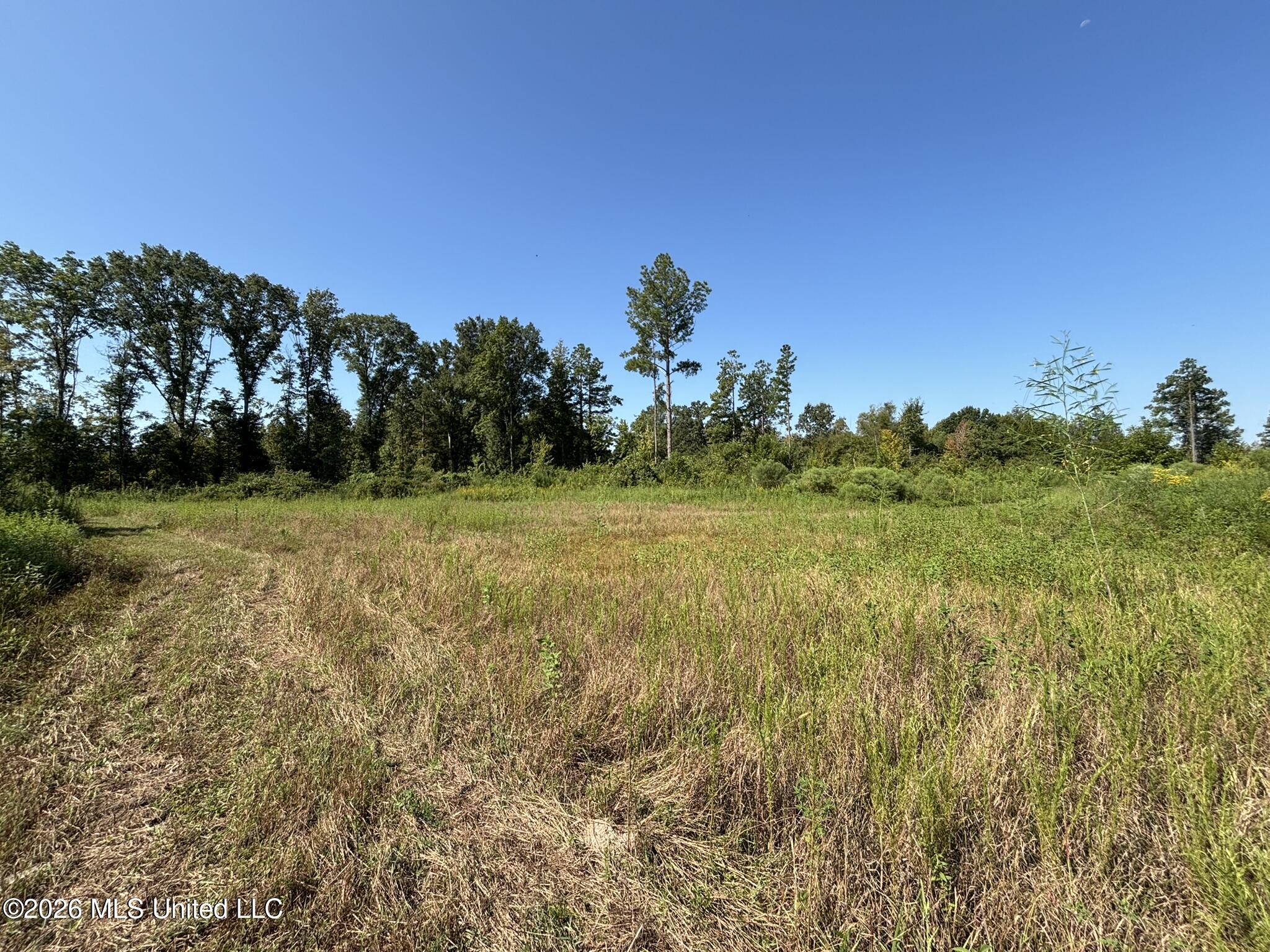 0 E Doc Clark Road Property Photo 21