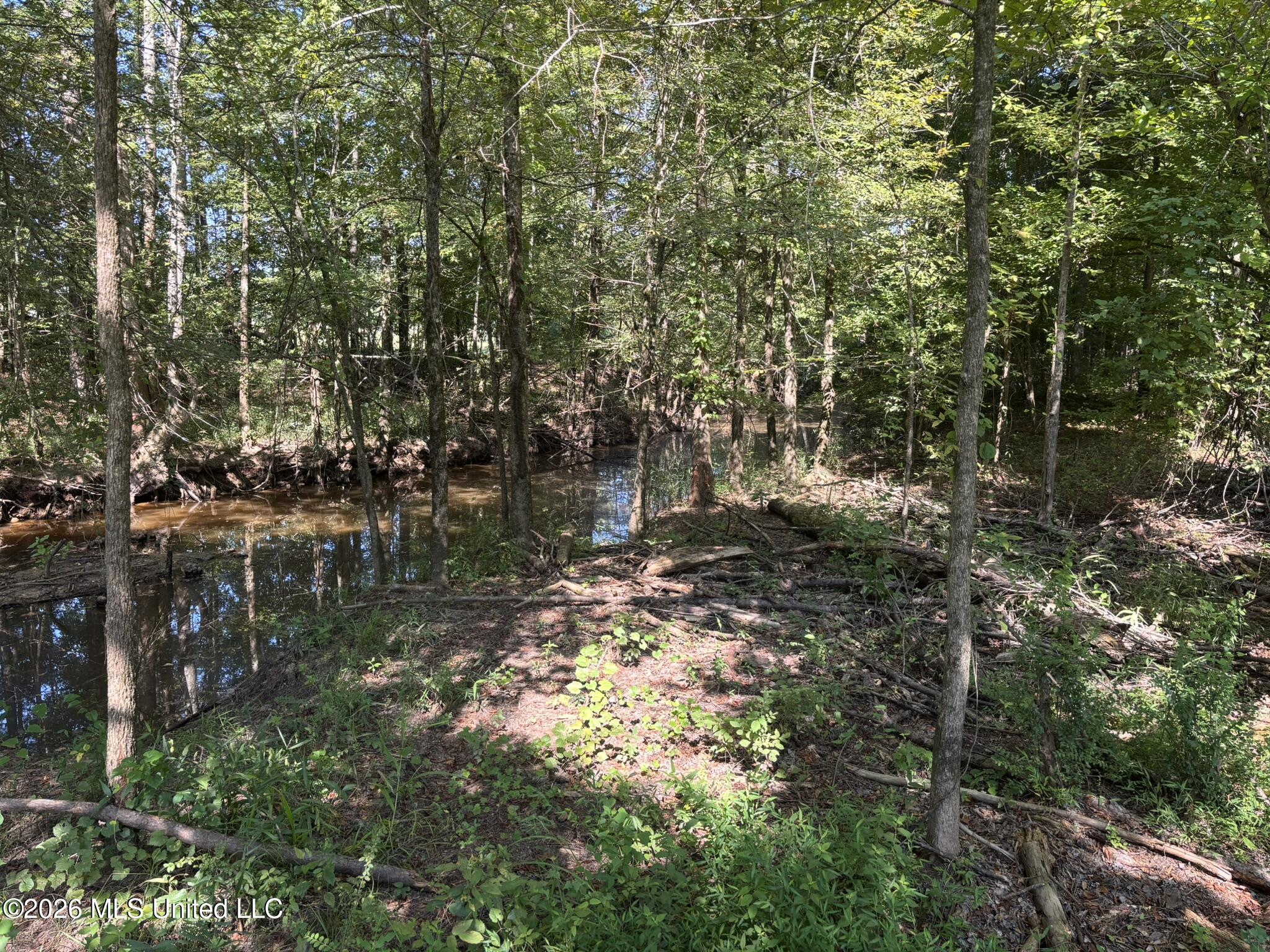 0 E Doc Clark Road Property Photo 23