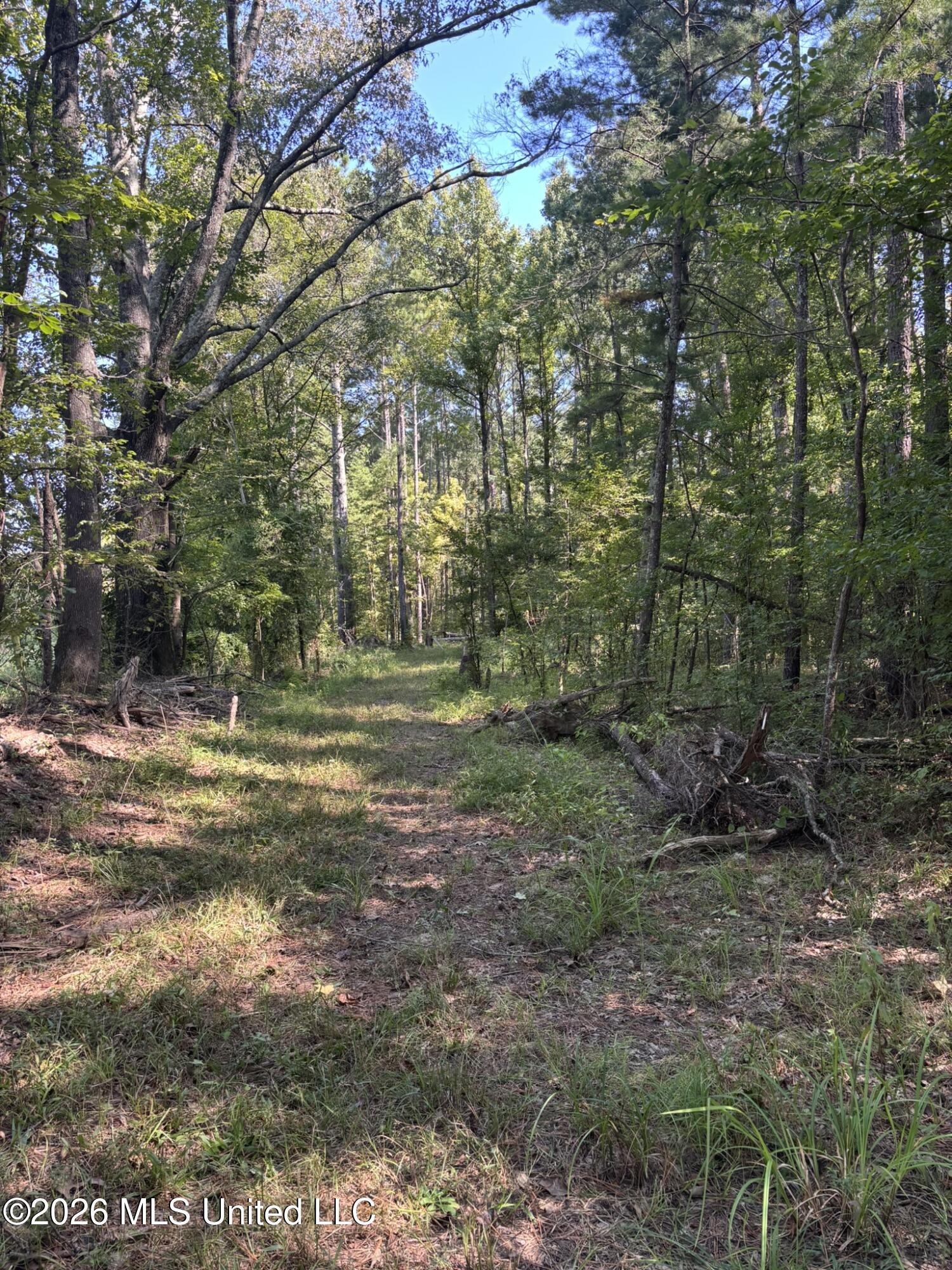0 E Doc Clark Road Property Photo 24