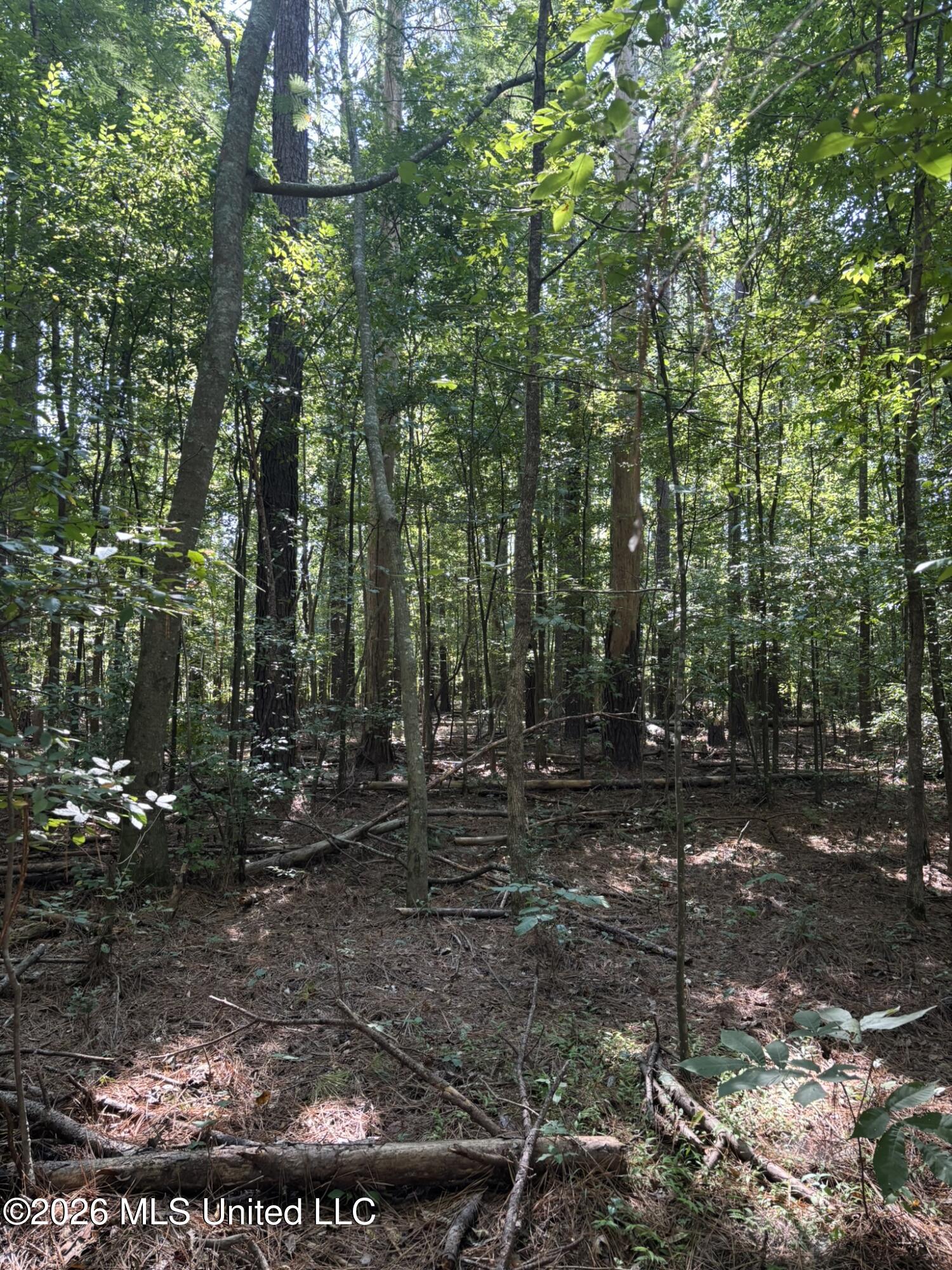 0 E Doc Clark Road Property Photo 25