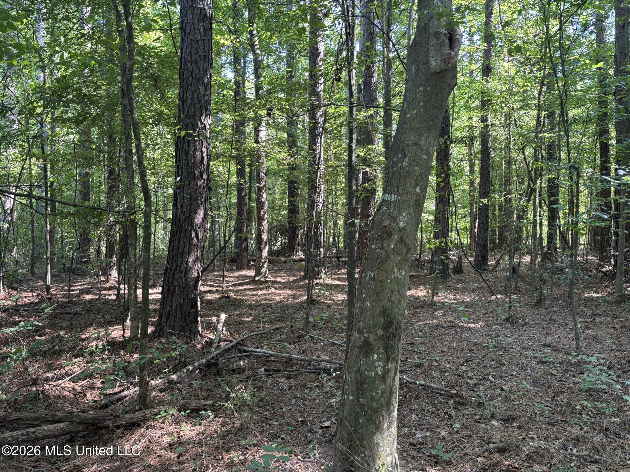 0 E Doc Clark Road Property Photo 26