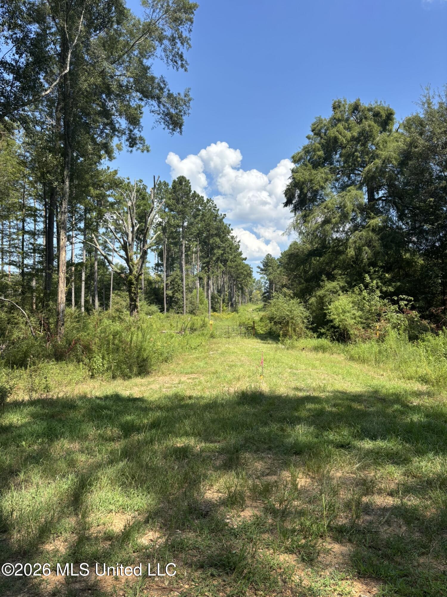 0 E Doc Clark Road Property Photo 28
