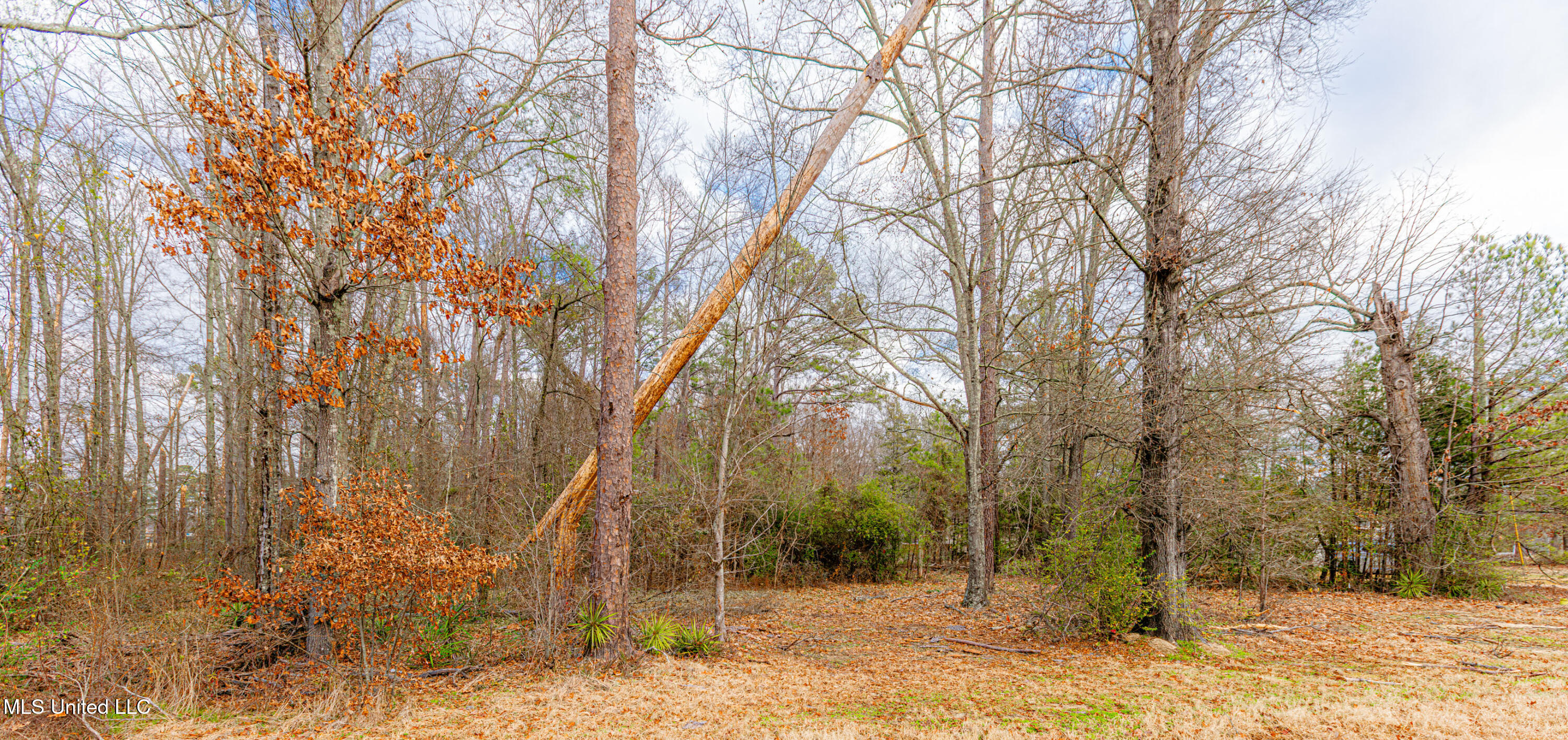 0 Flowood Dr Drive Property Photo 2