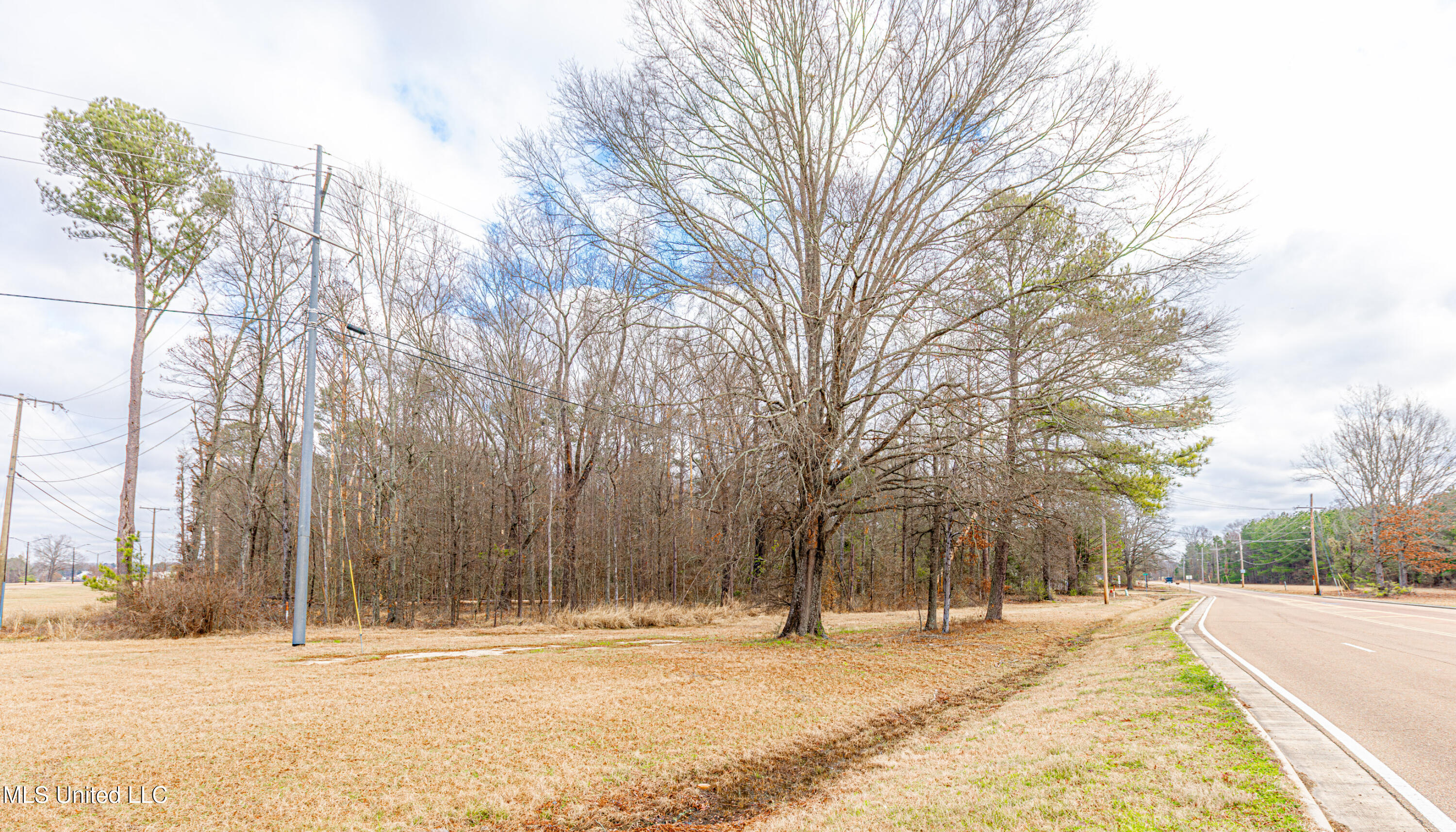 0 Flowood Dr Drive Property Photo 4