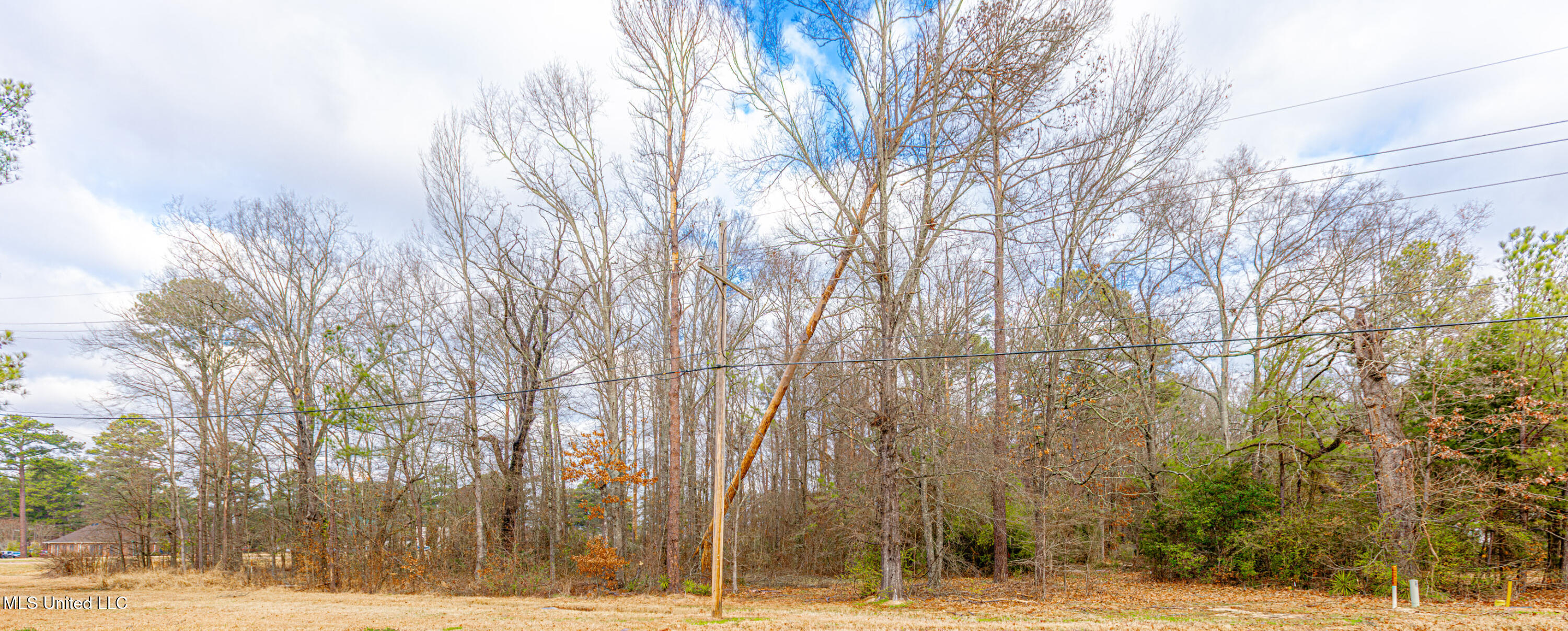 0 Flowood Dr Drive Property Photo 6
