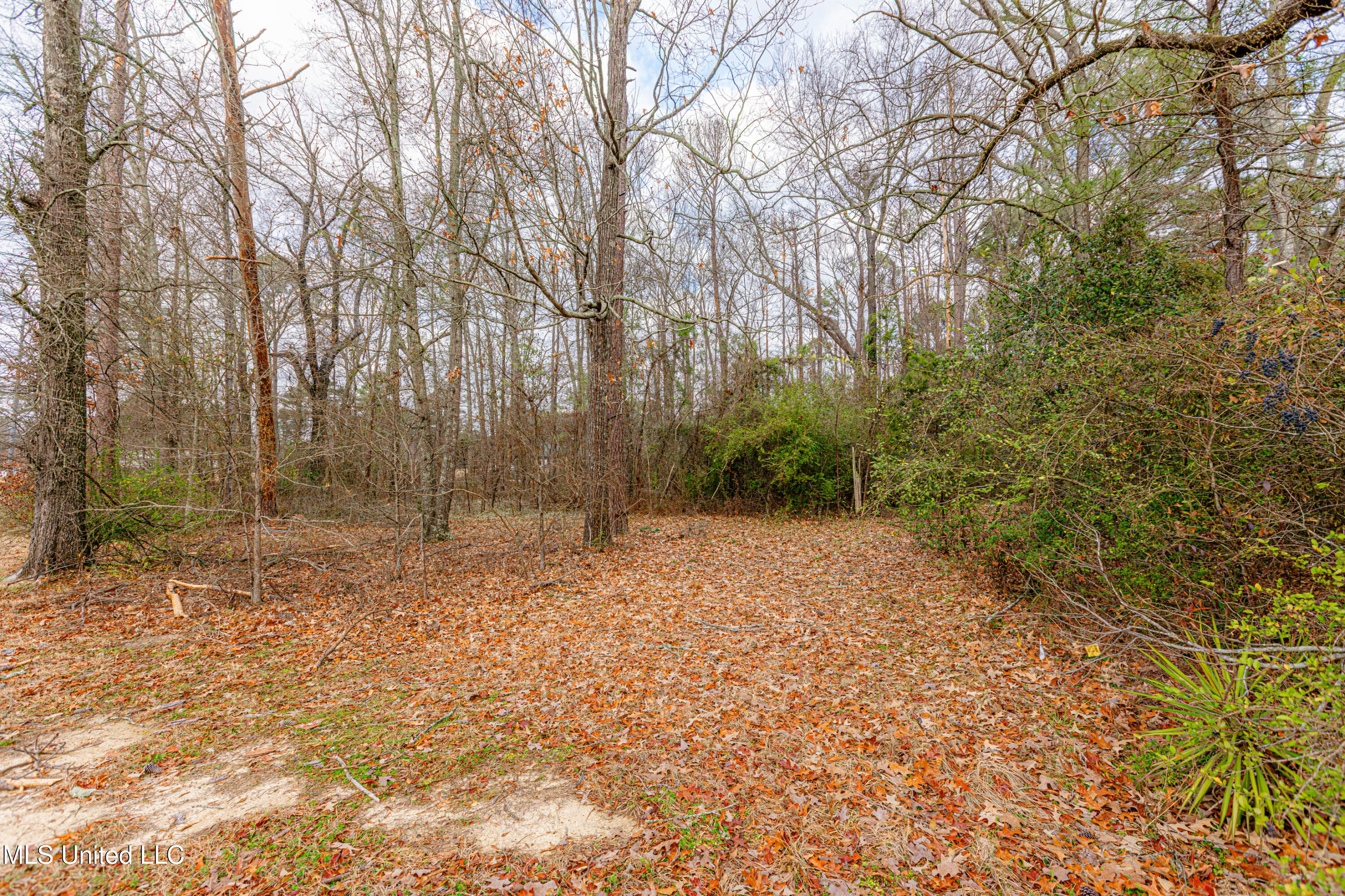 0 Flowood Dr Drive Property Photo 7