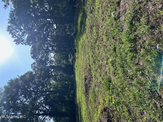 4528 Hanging Moss Road Property Photo 1