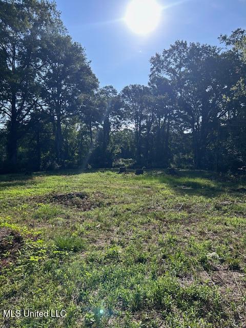 4528 Hanging Moss Road Property Photo 2