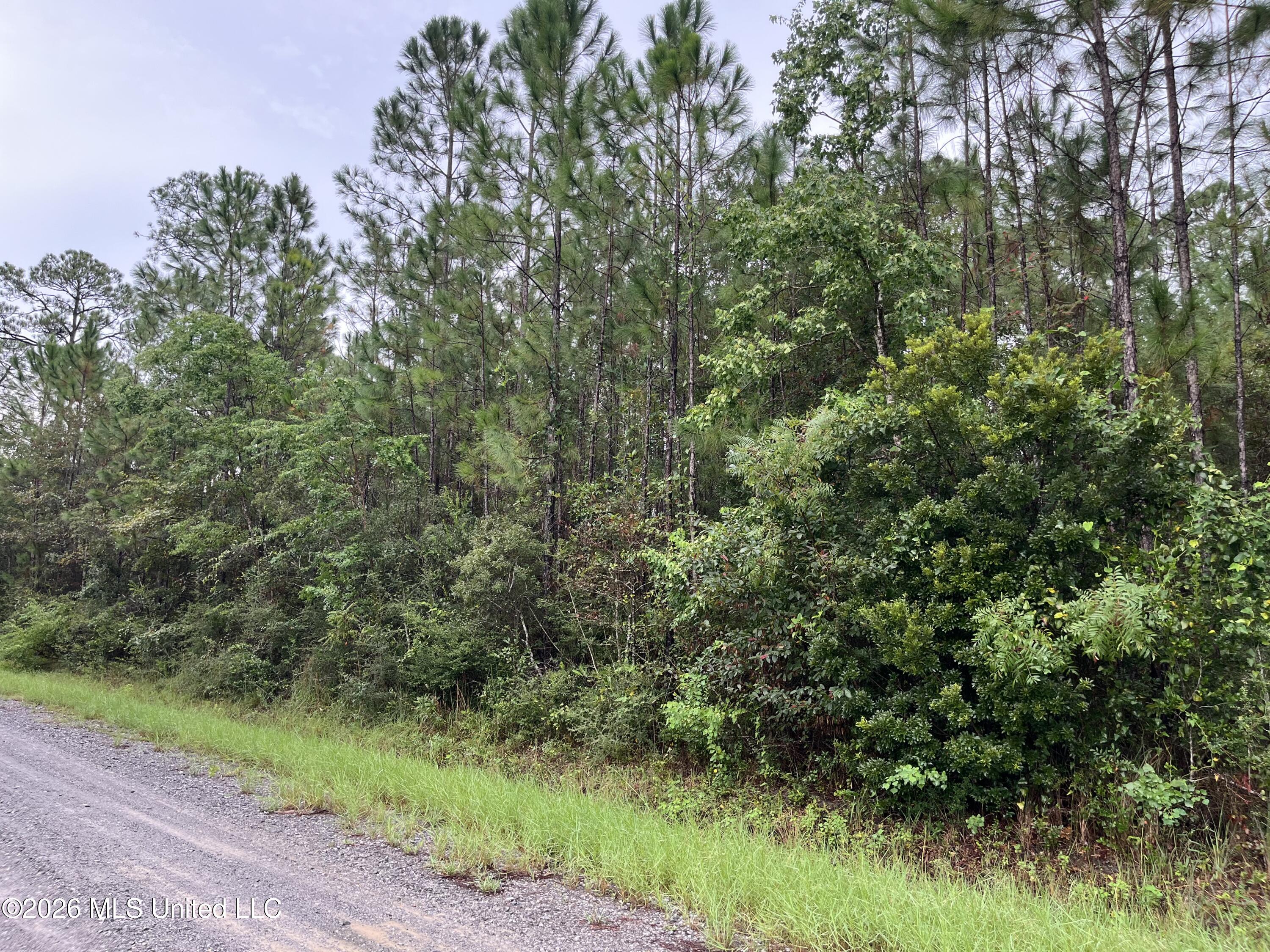 Lot 2214 Pine Street Property Photo 1
