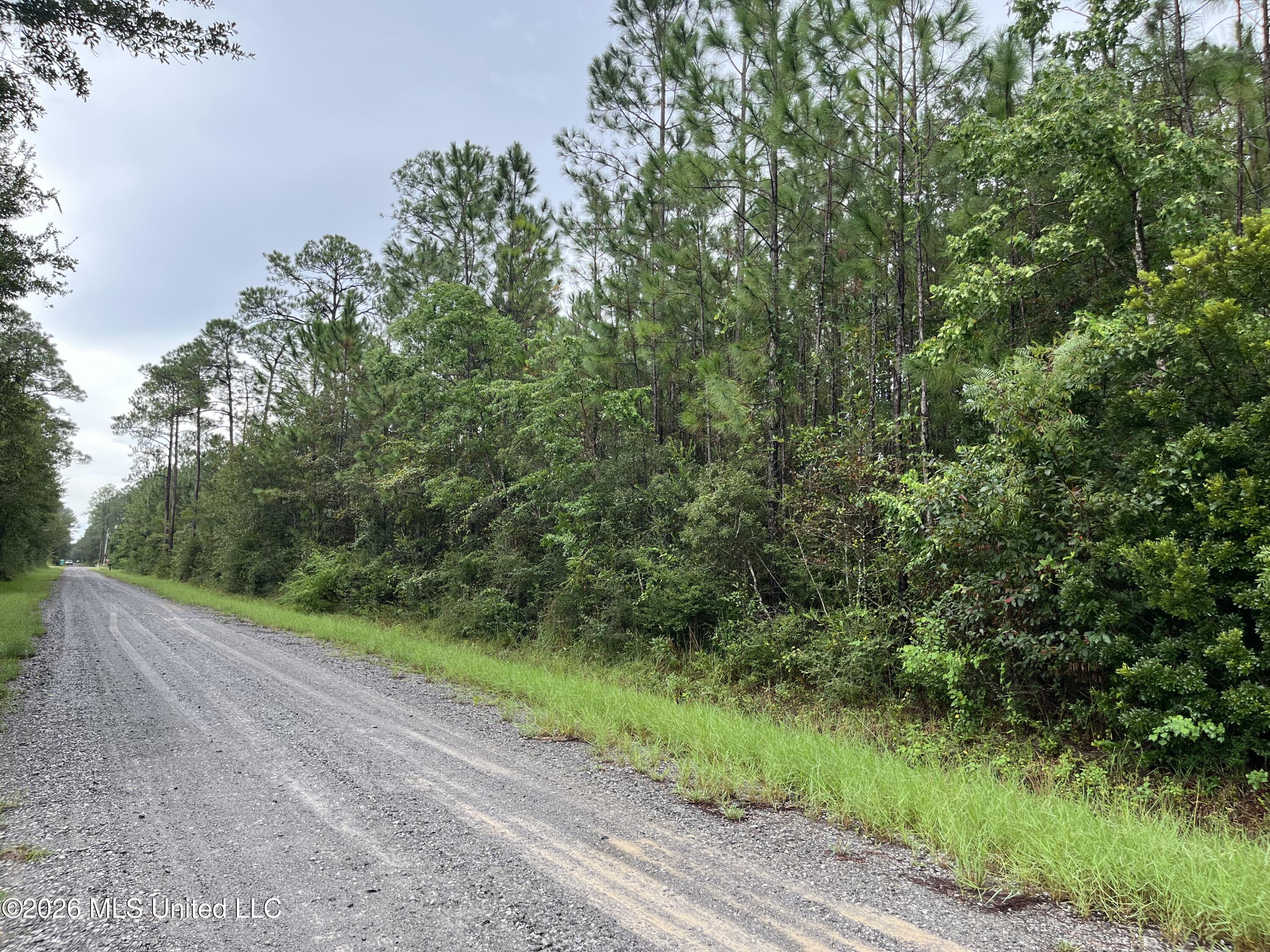Lot 2214 Pine Street Property Photo 2