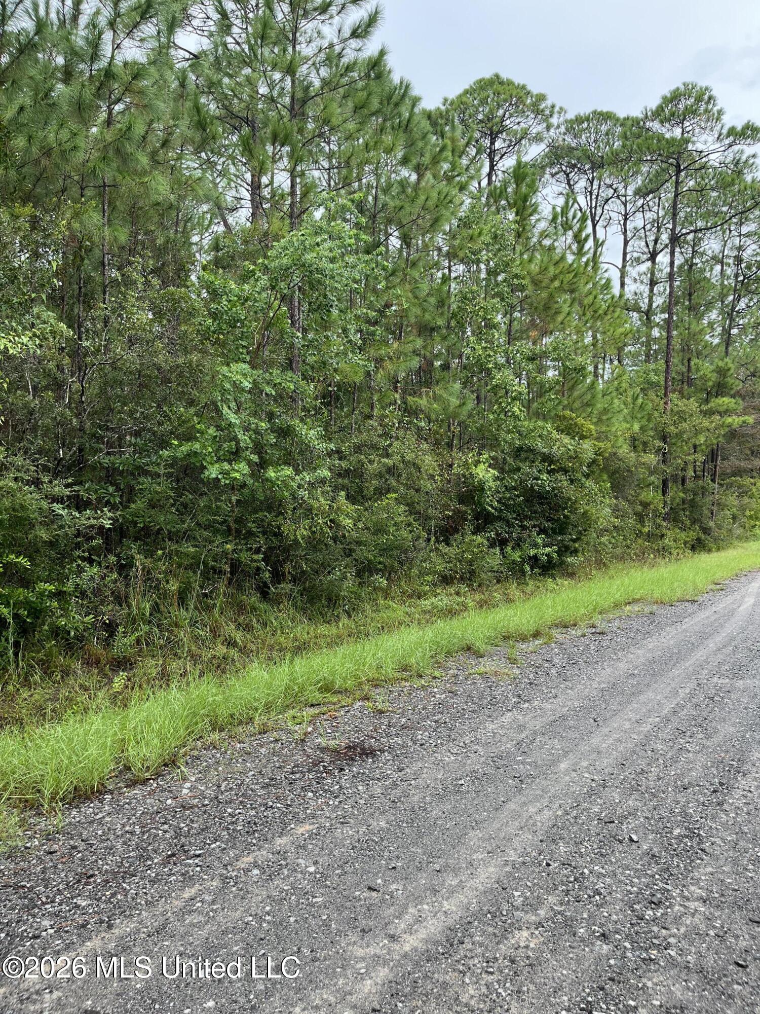 Lot 2214 Pine Street Property Photo 3