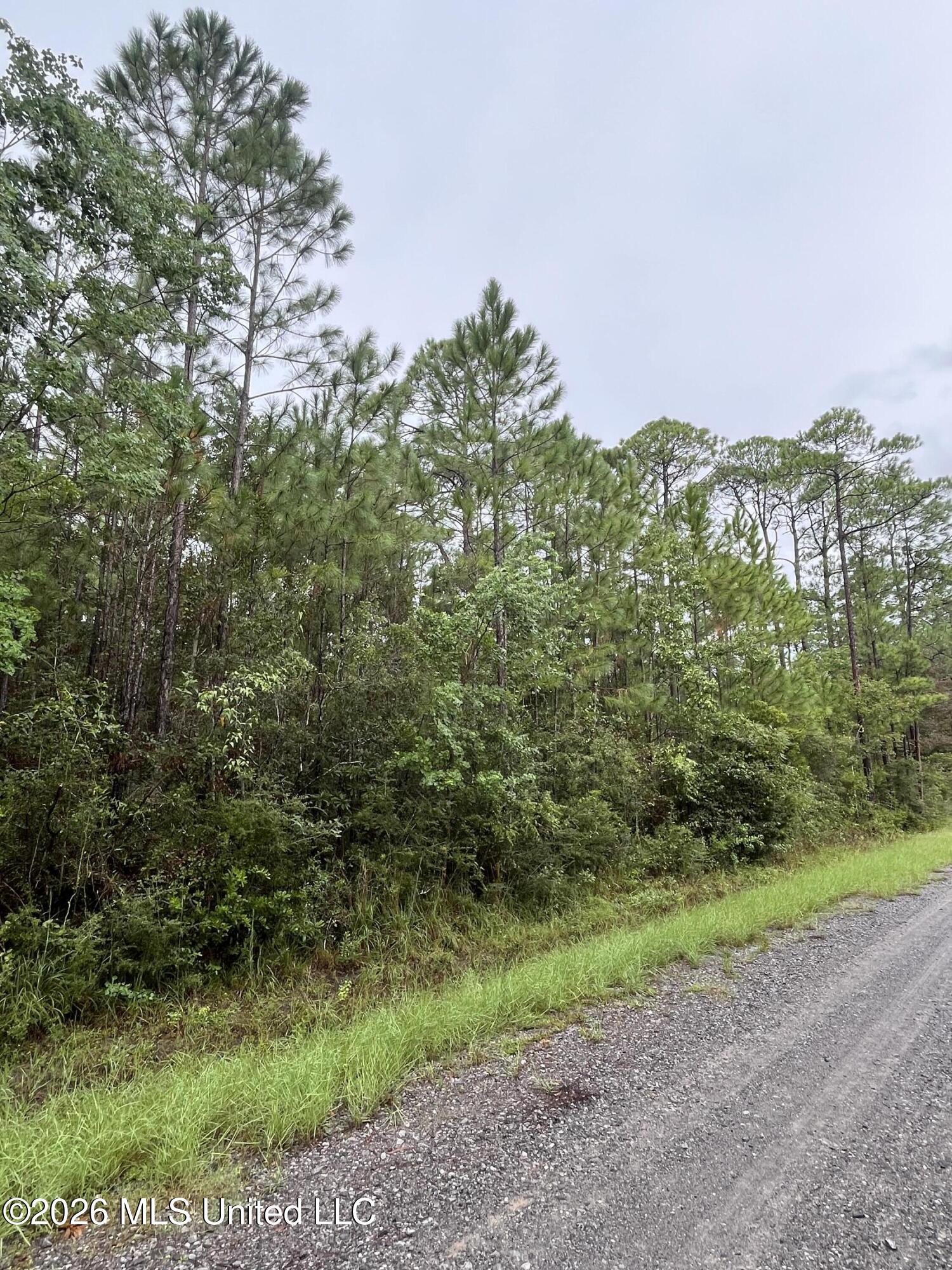 Lot 2214 Pine Street Property Photo 4