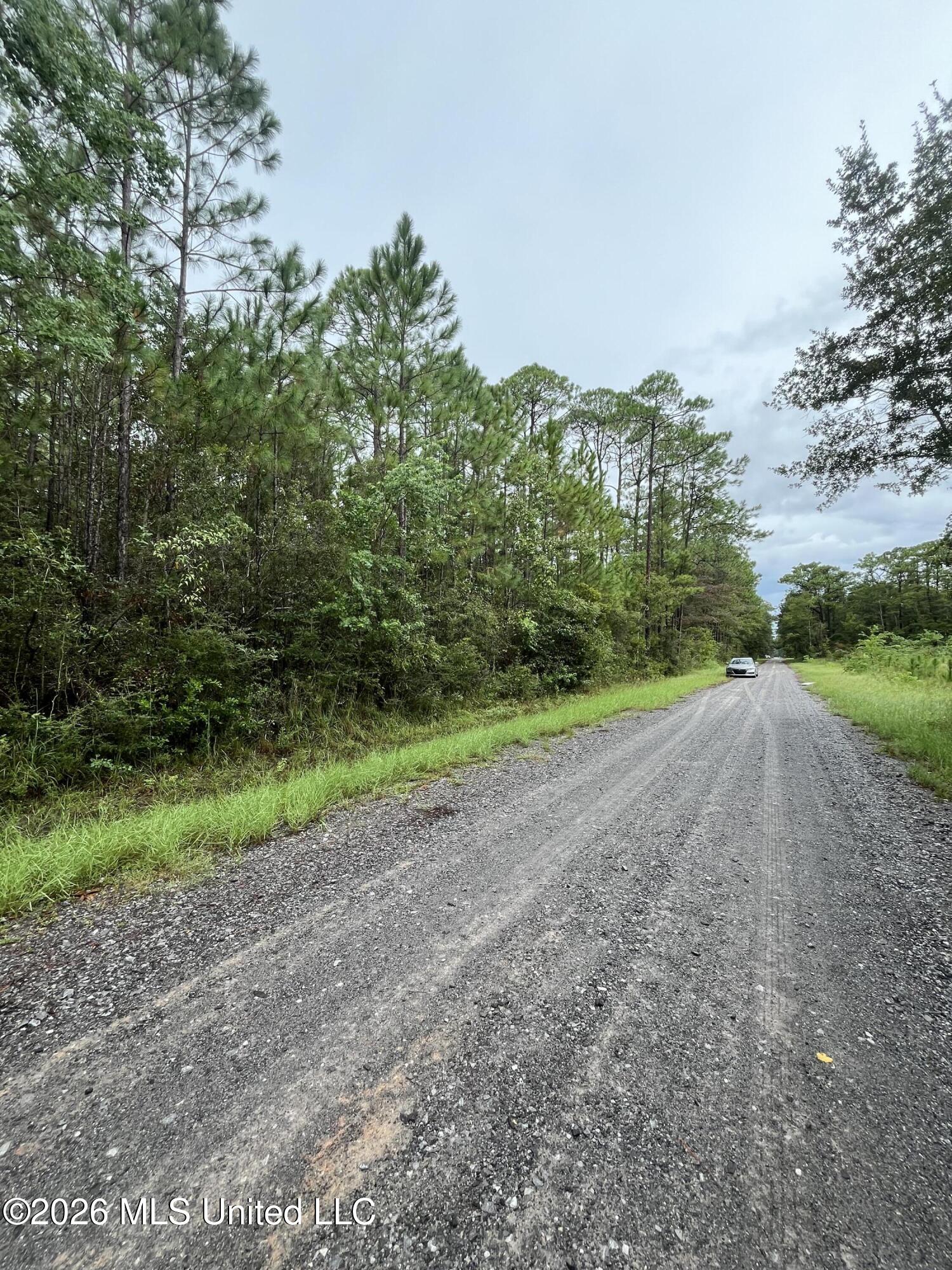 Lot 2214 Pine Street Property Photo 5