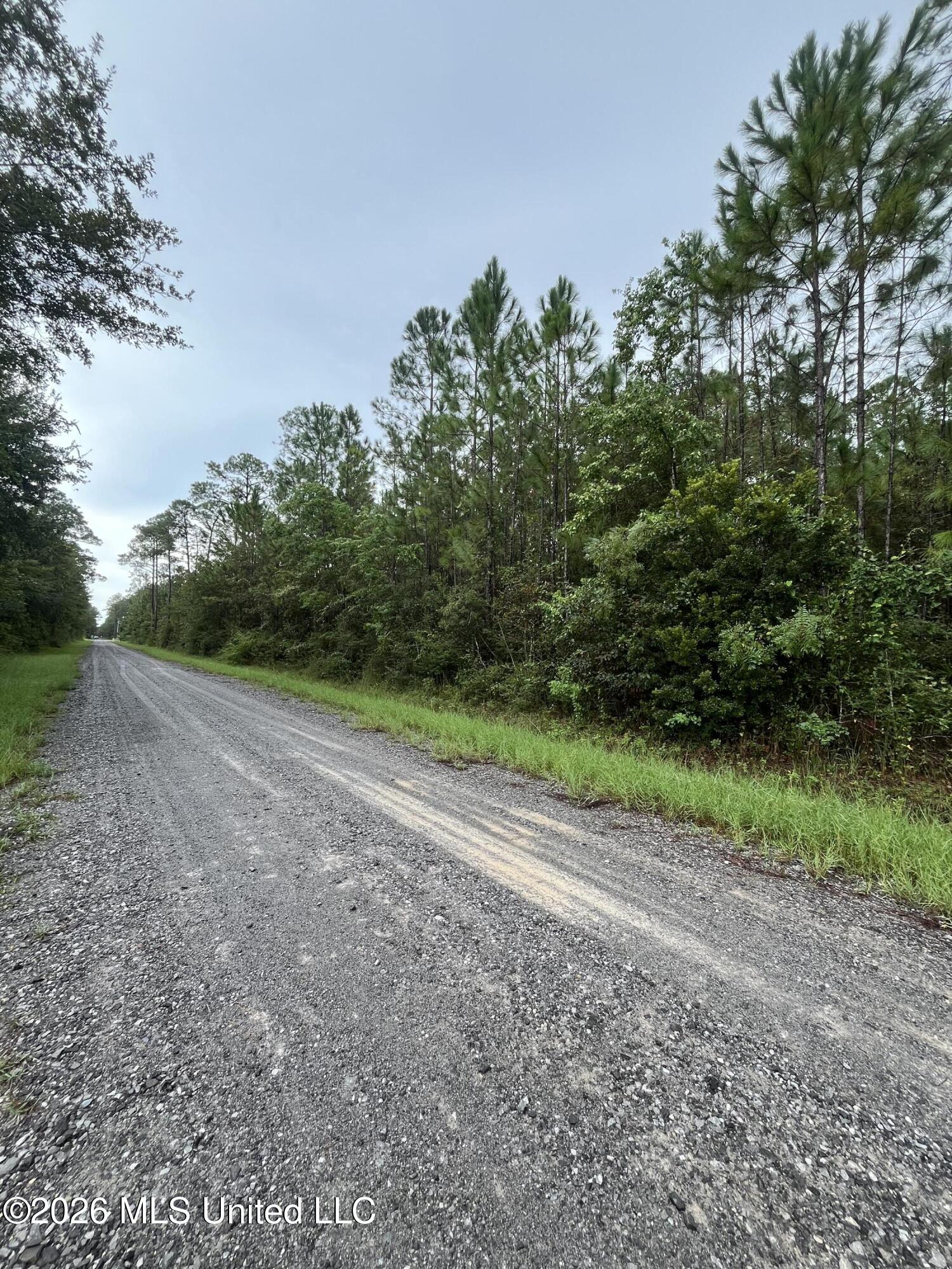 Lot 2214 Pine Street Property Photo 6
