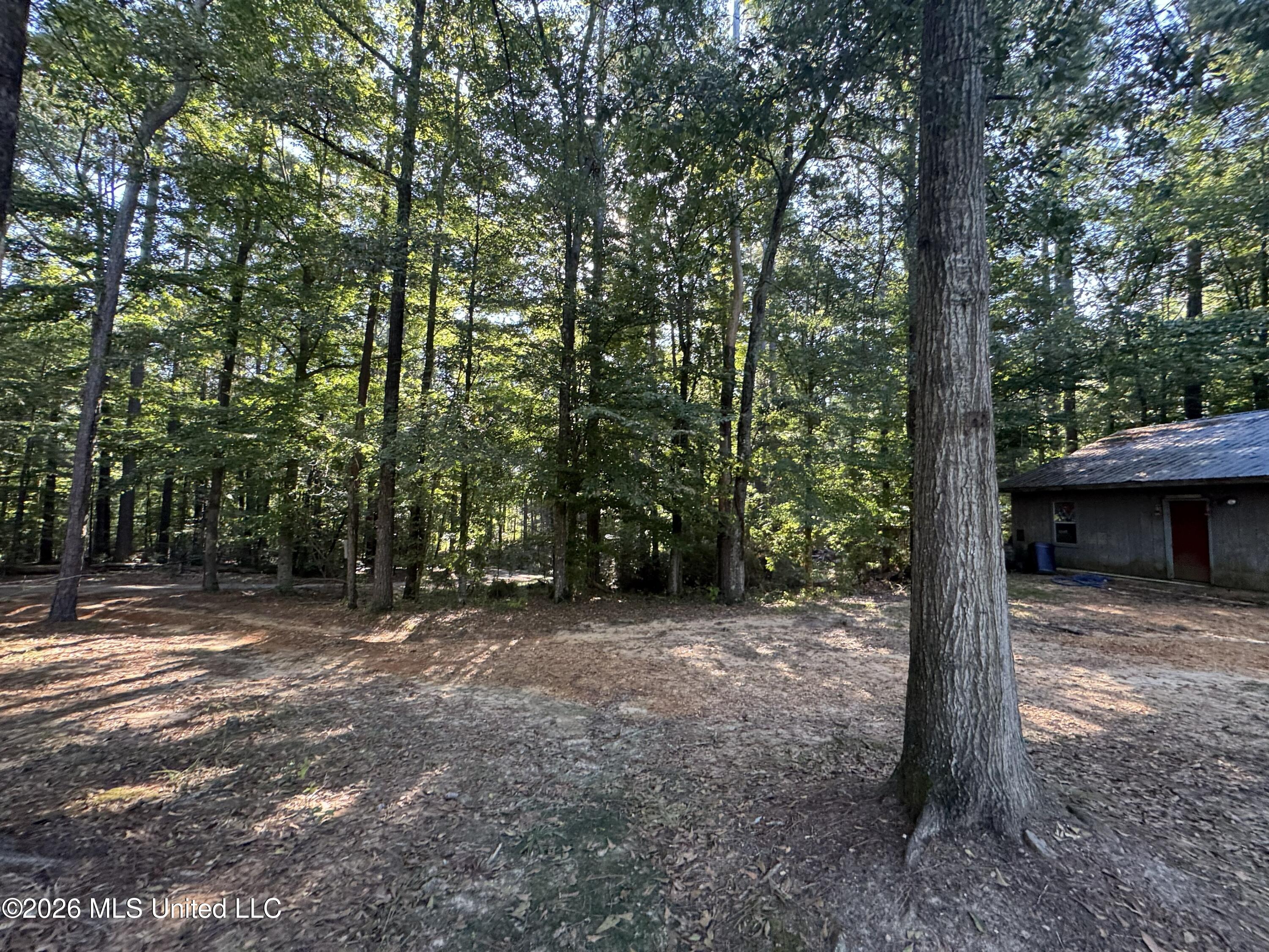 1100 Rolling Wood Drive Property Photo 72