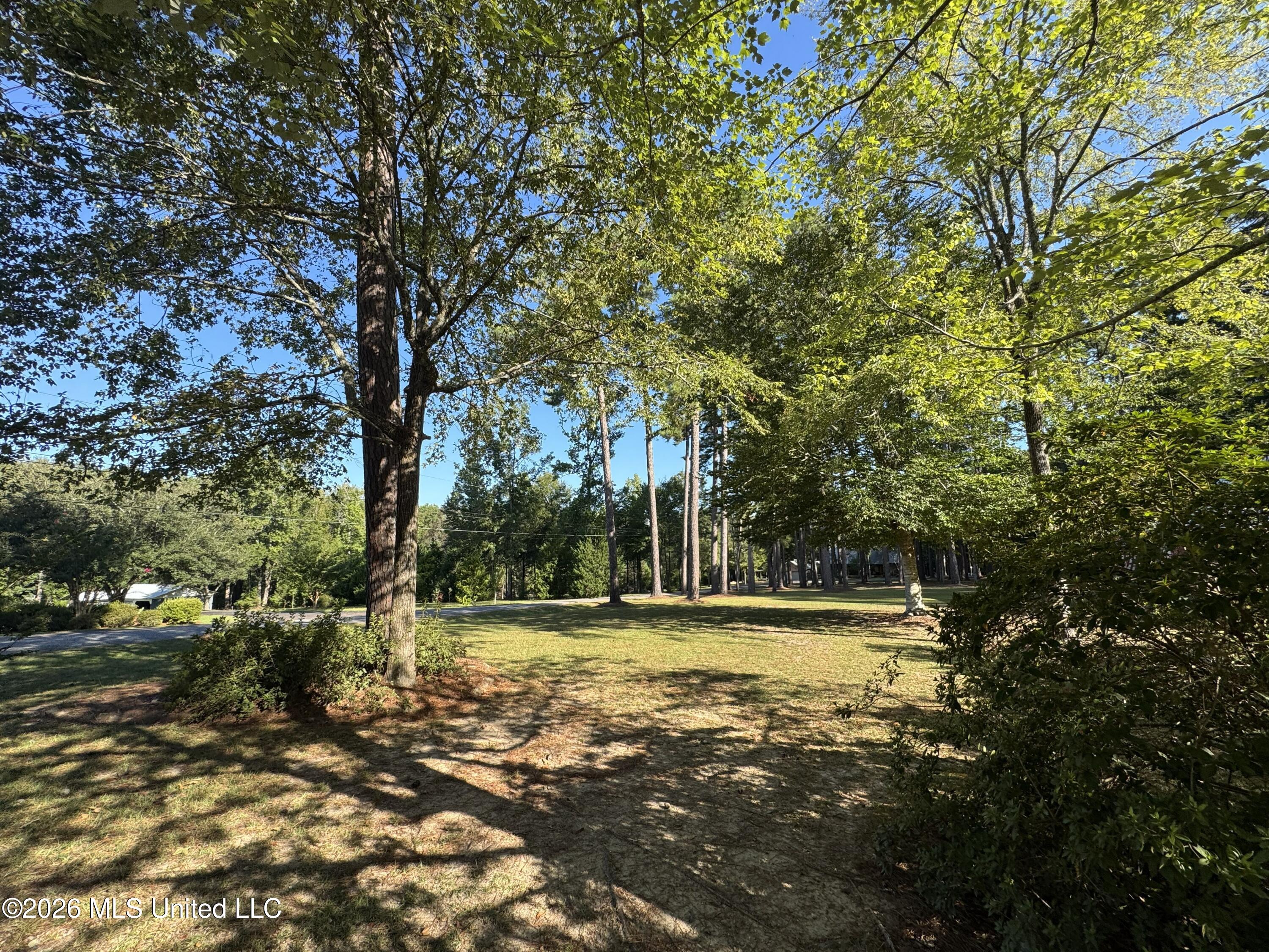 1100 Rolling Wood Drive Property Photo 81