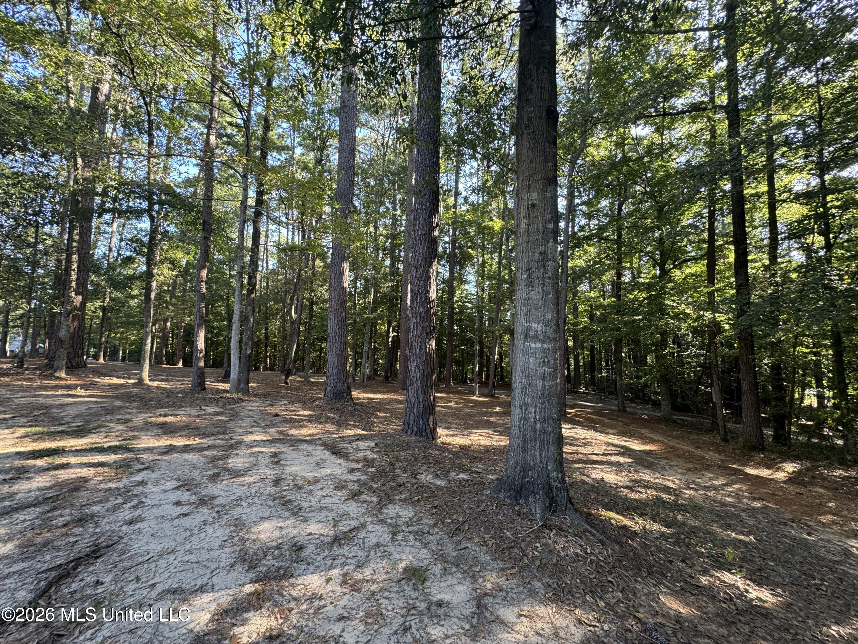 1100 Rolling Wood Drive Property Photo 82