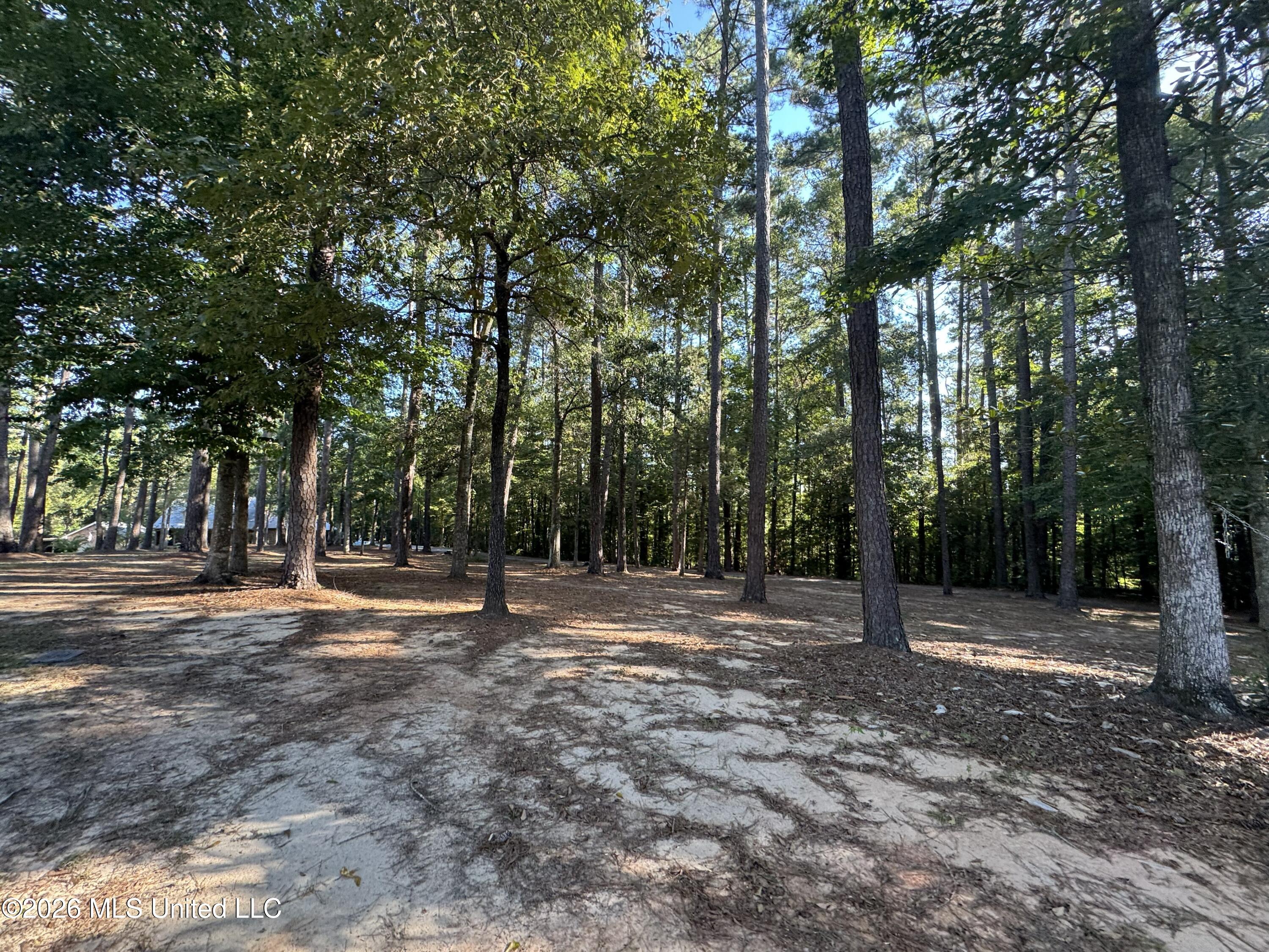 1100 Rolling Wood Drive Property Photo 84