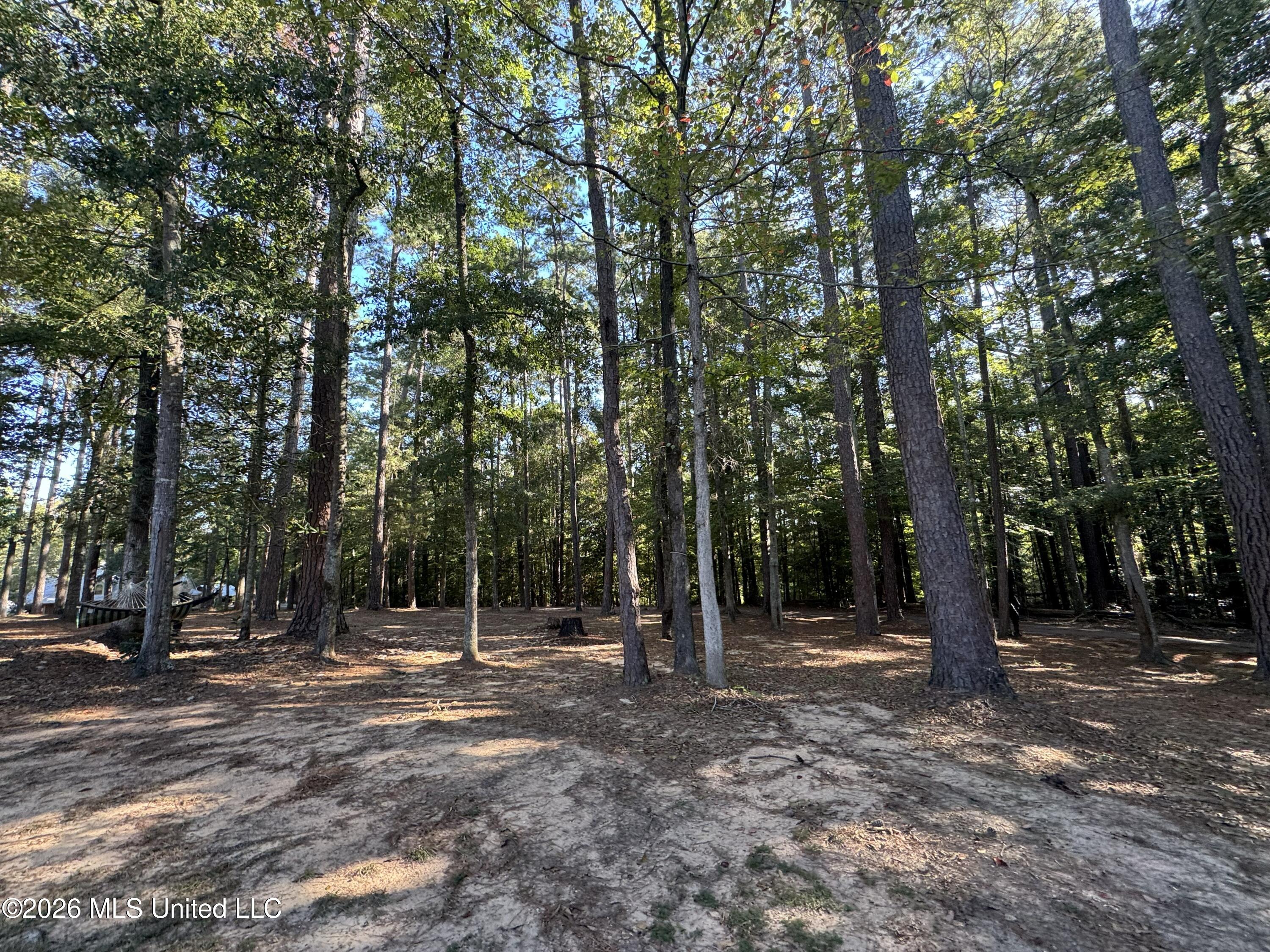 1100 Rolling Wood Drive Property Photo 85