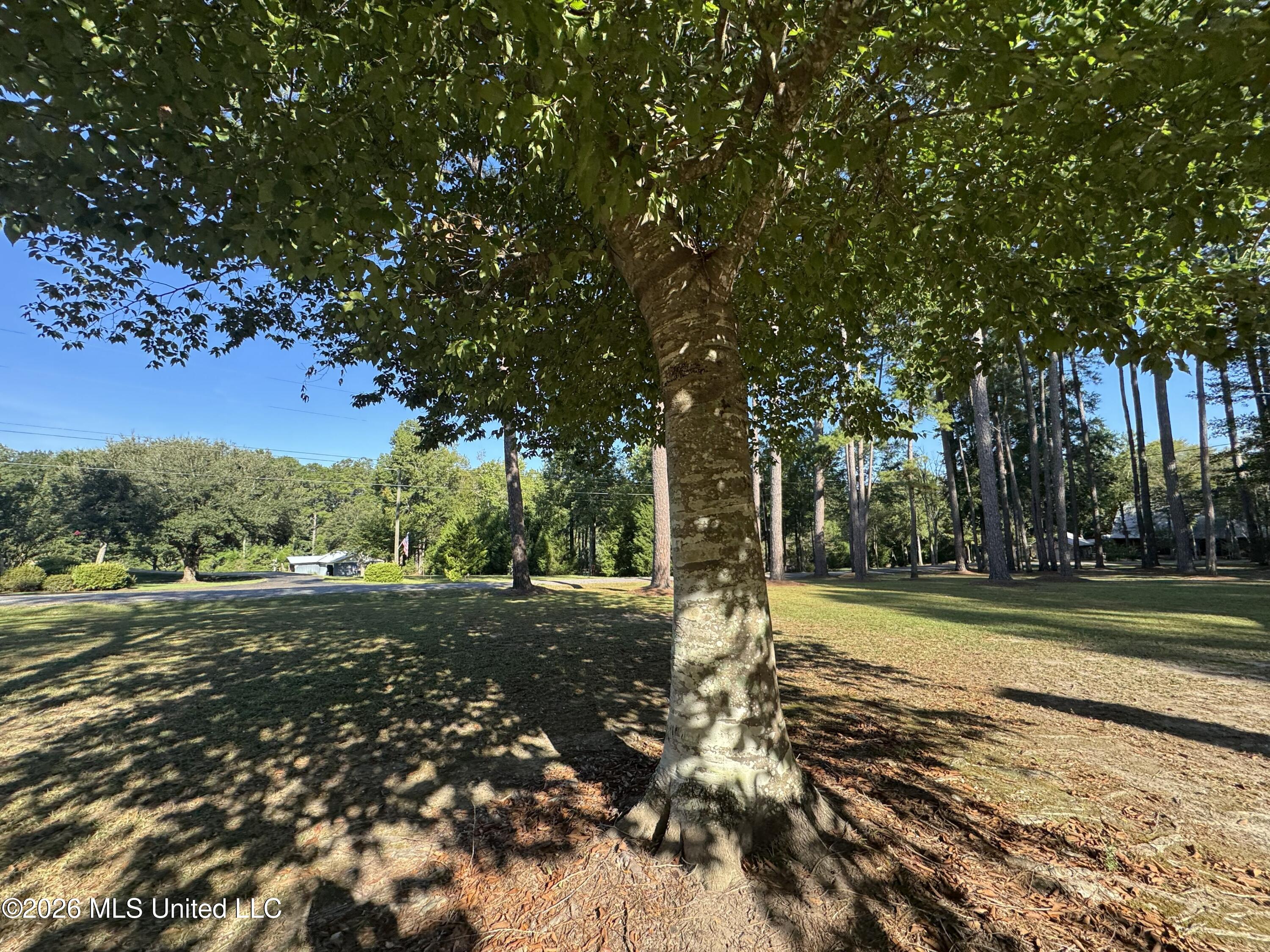 1100 Rolling Wood Drive Property Photo 86