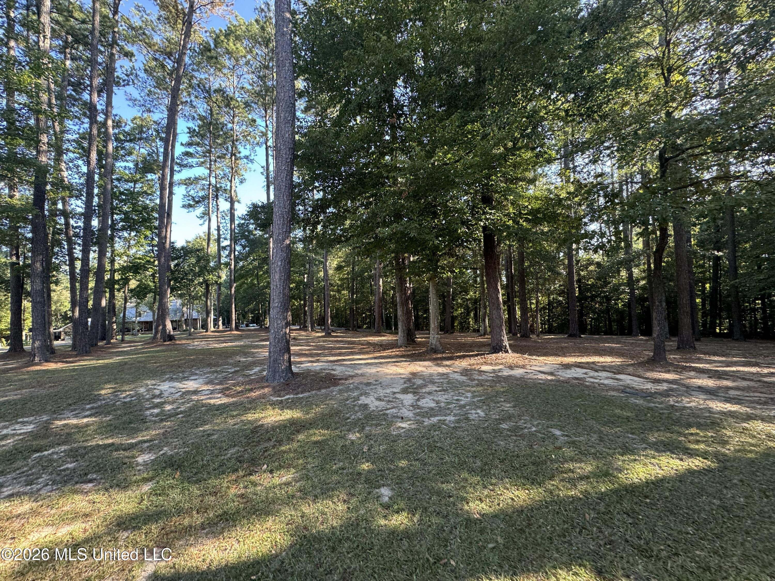 1100 Rolling Wood Drive Property Photo 87