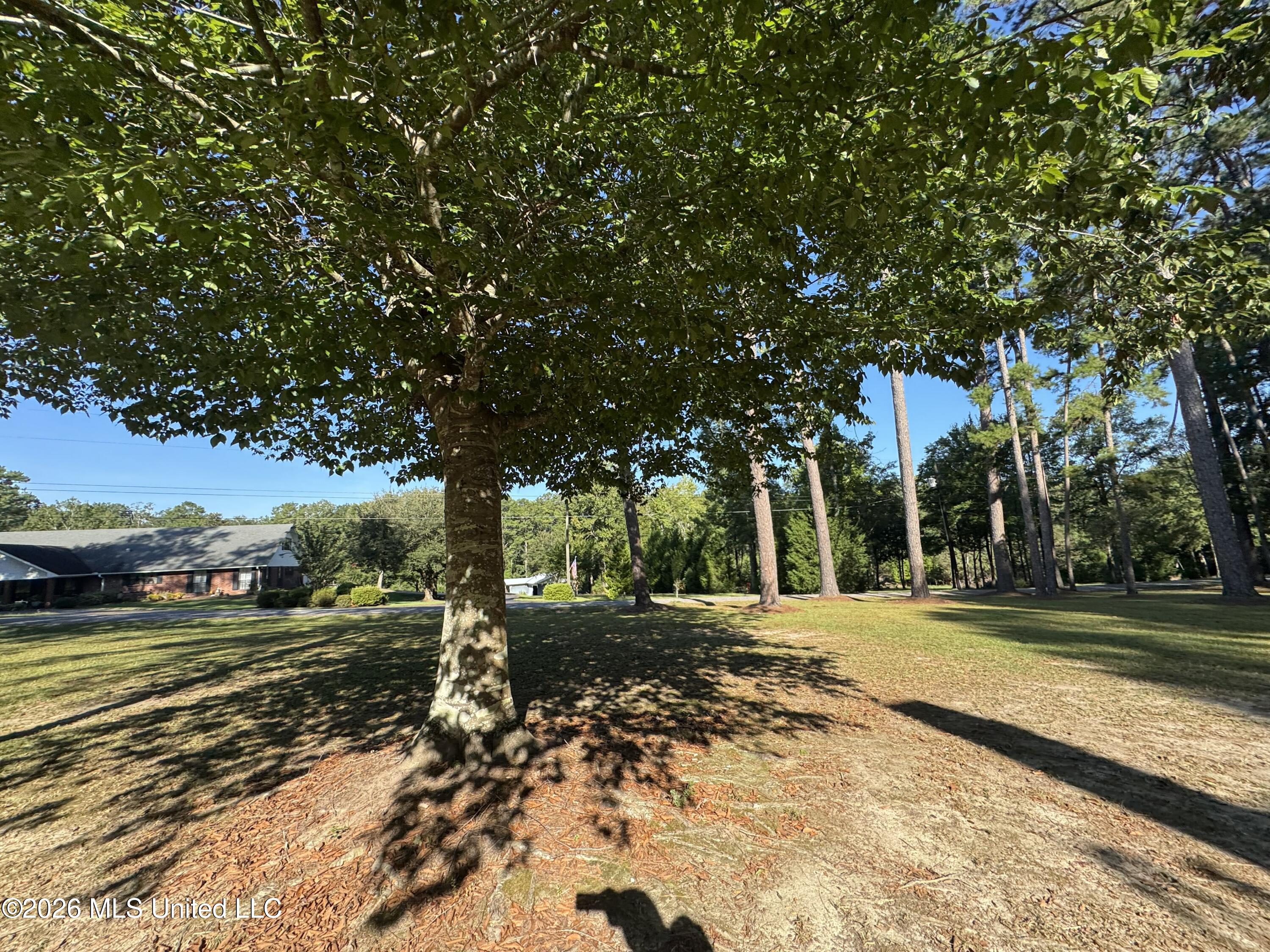 1100 Rolling Wood Drive Property Photo 88