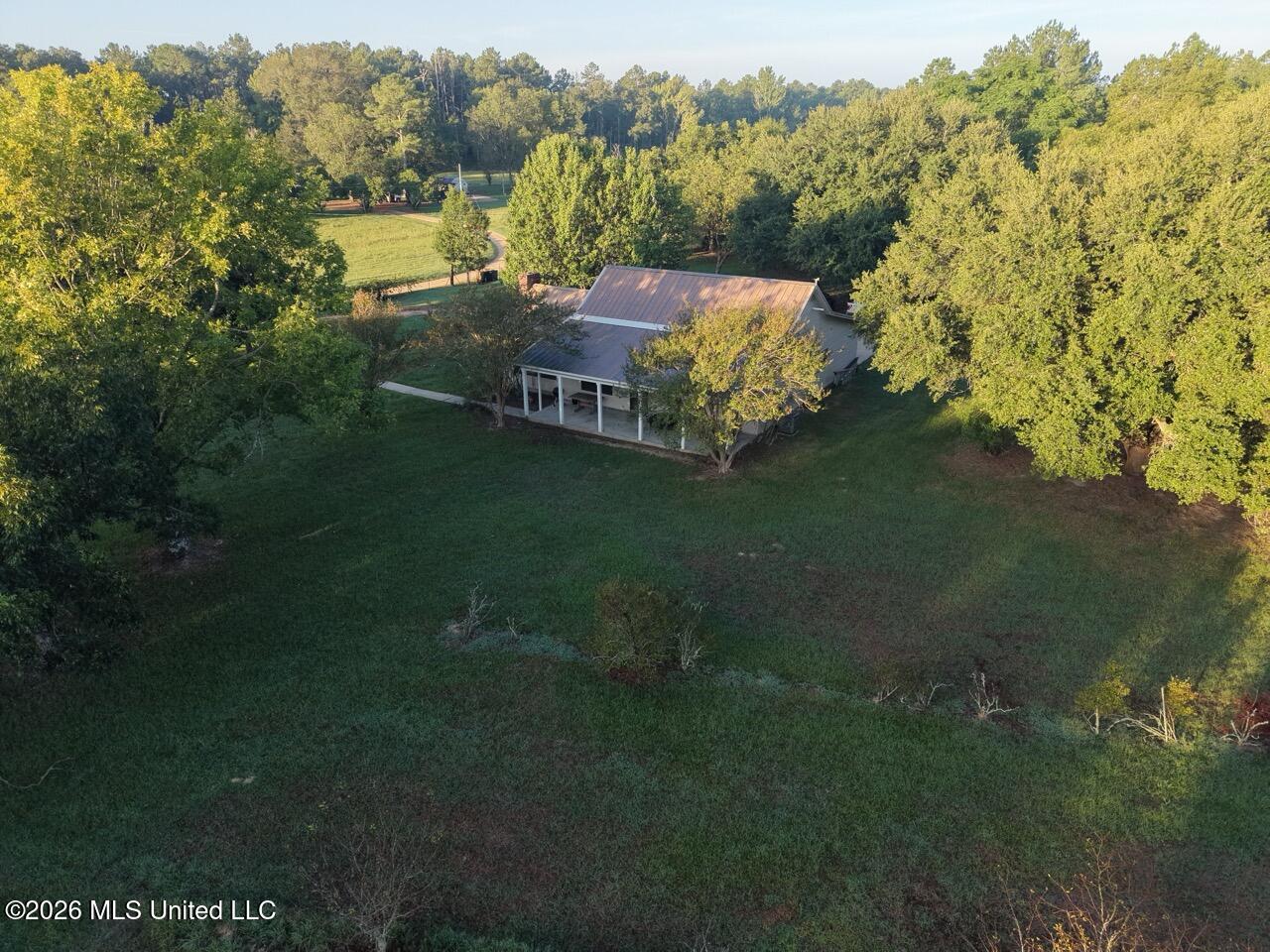 Paradise Lane Property Photo 5