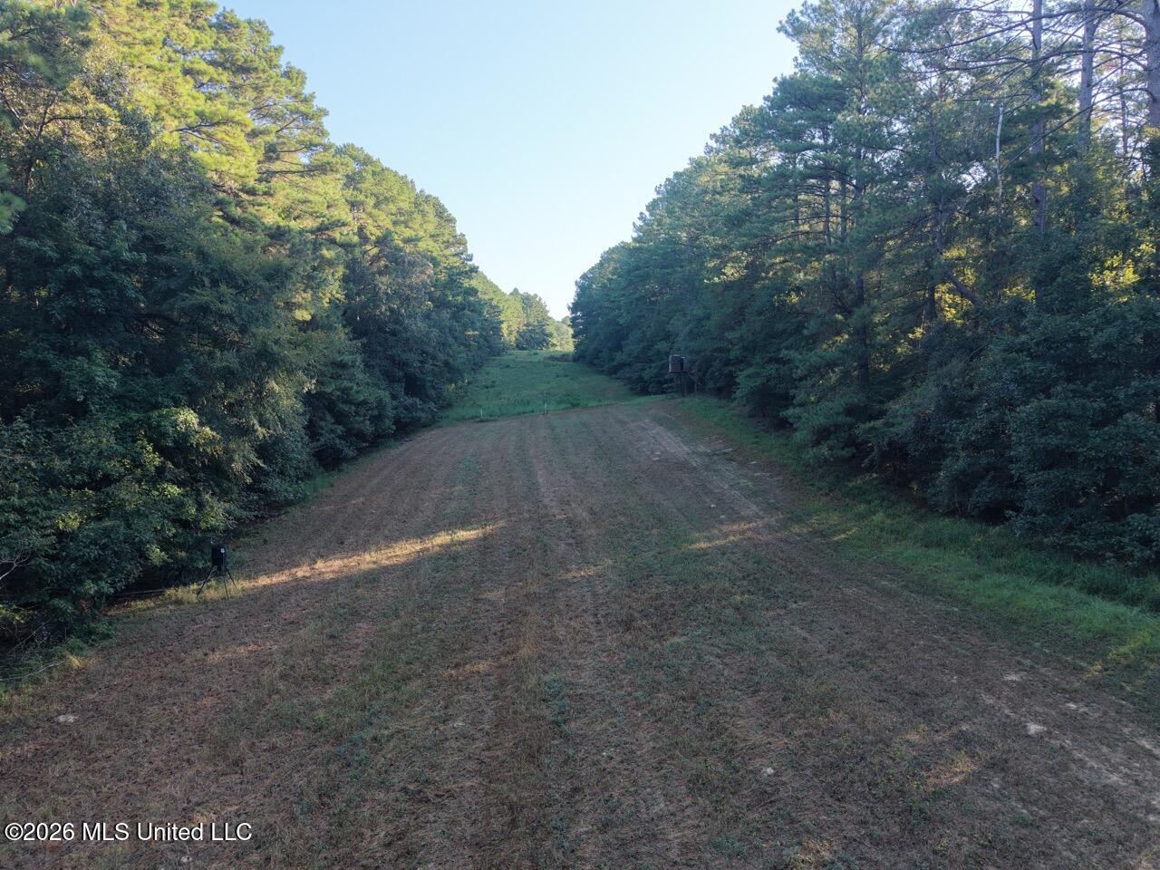 Paradise Lane Property Photo 10