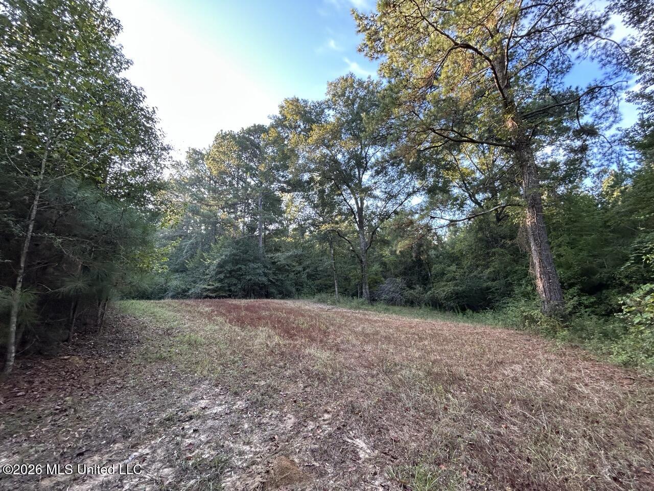 Paradise Lane Property Photo 18