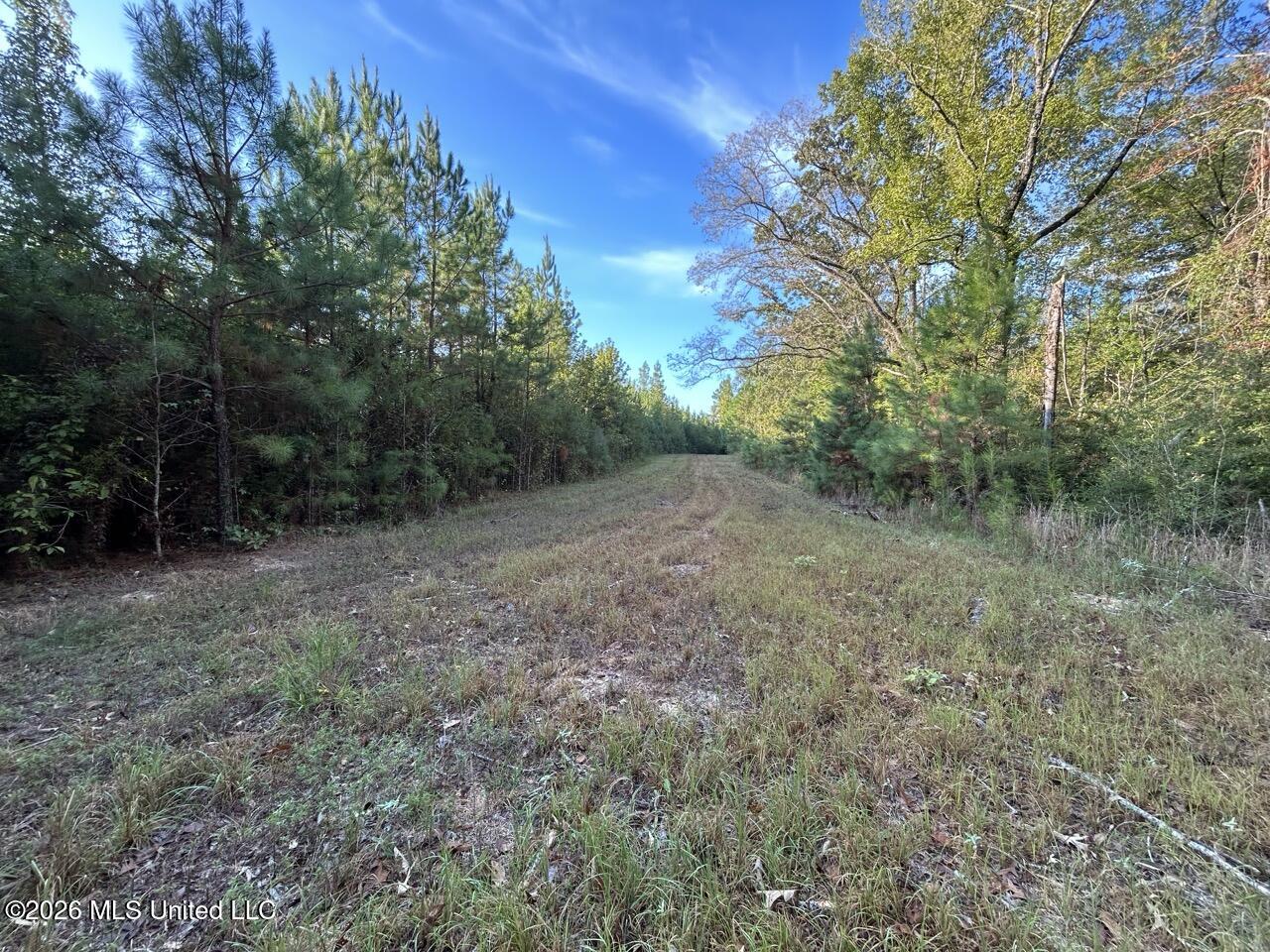 Paradise Lane Property Photo 19