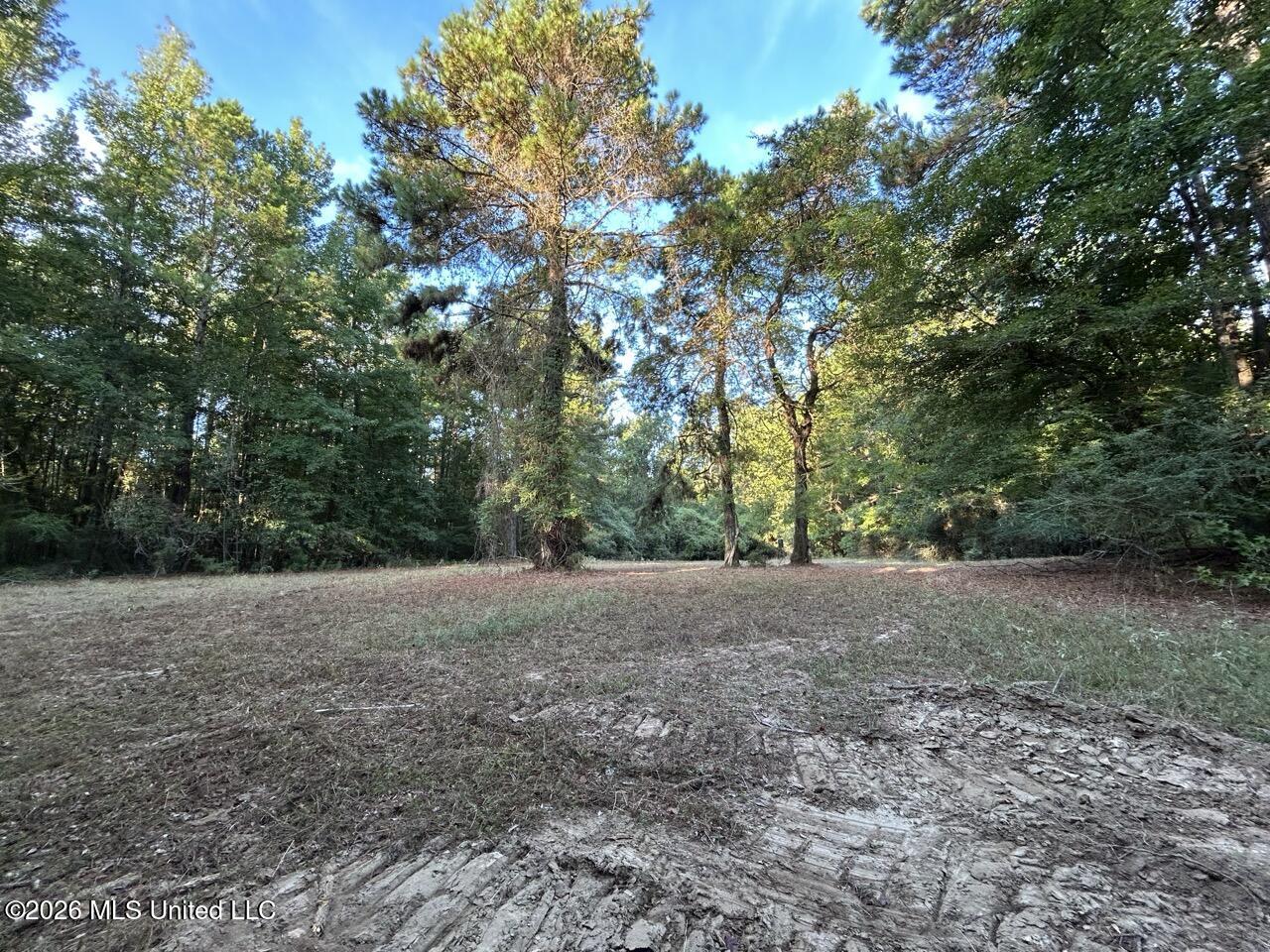 Paradise Lane Property Photo 22