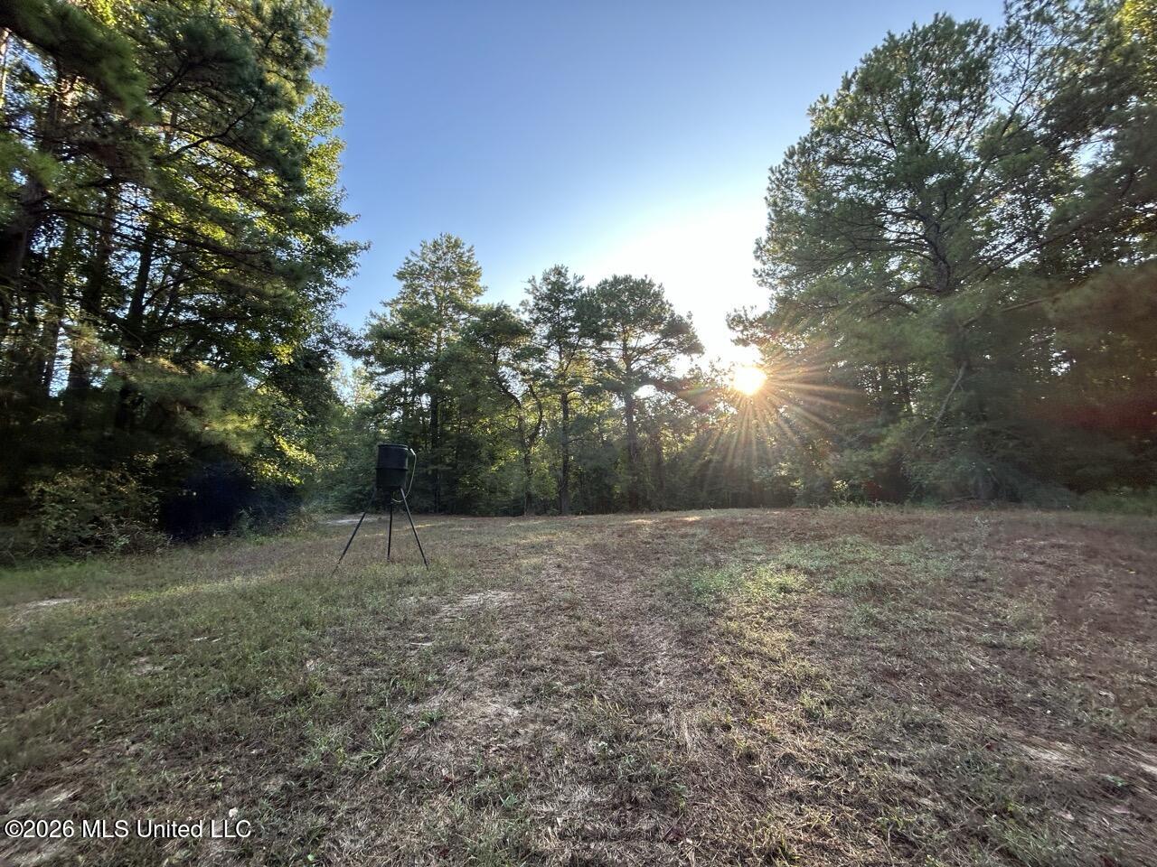 Paradise Lane Property Photo 23