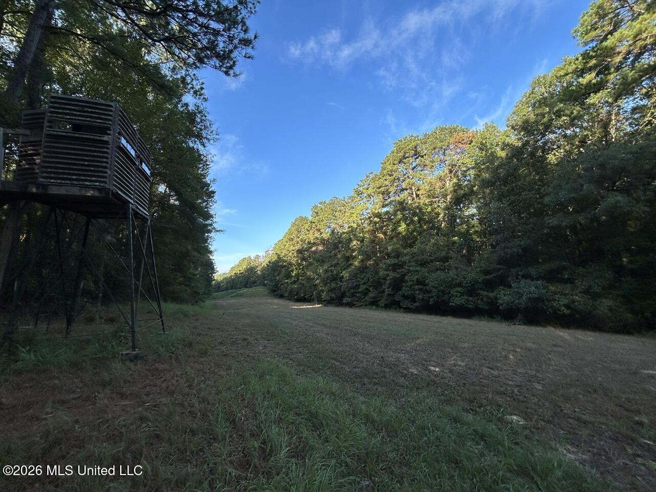 Paradise Lane Property Photo 24