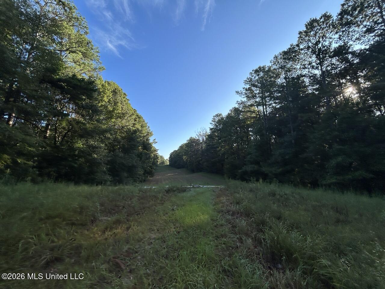 Paradise Lane Property Photo 28
