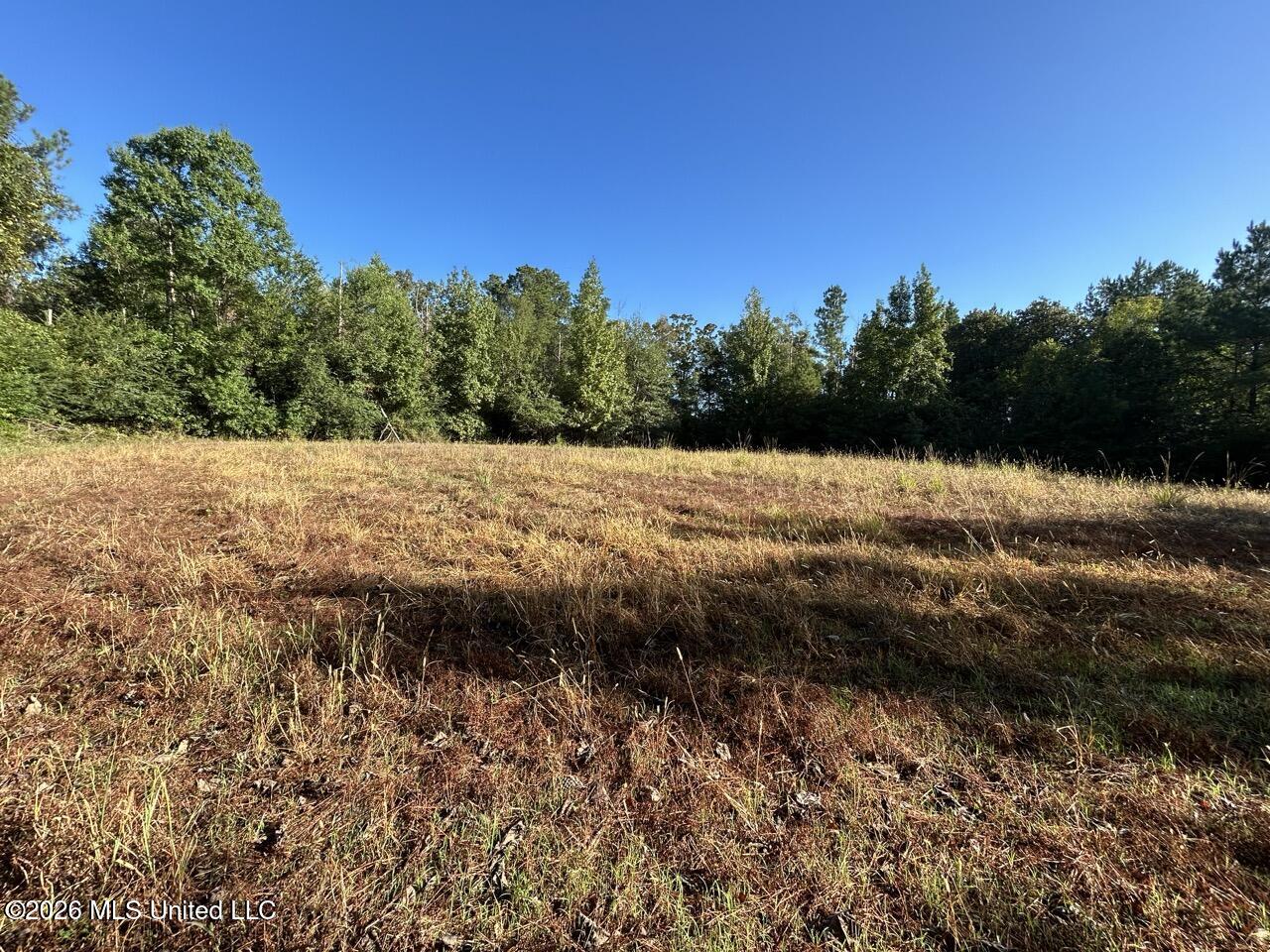 Paradise Lane Property Photo 33