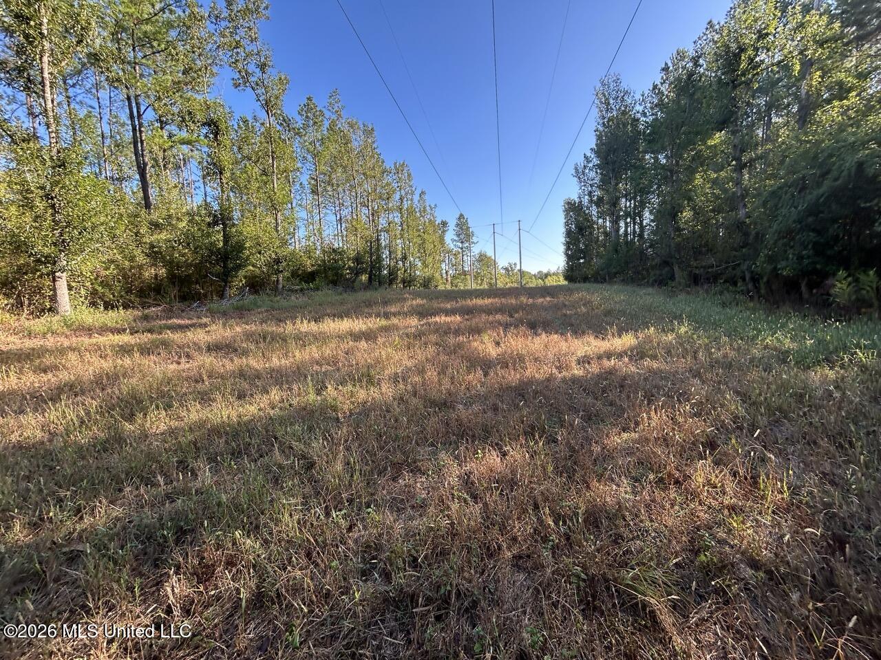 Paradise Lane Property Photo 34