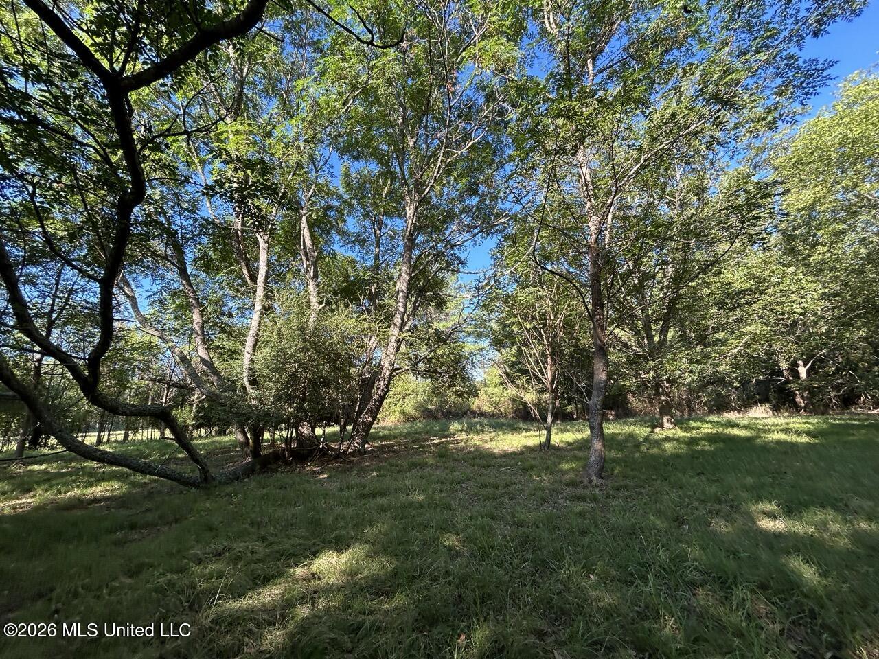 Paradise Lane Property Photo 45