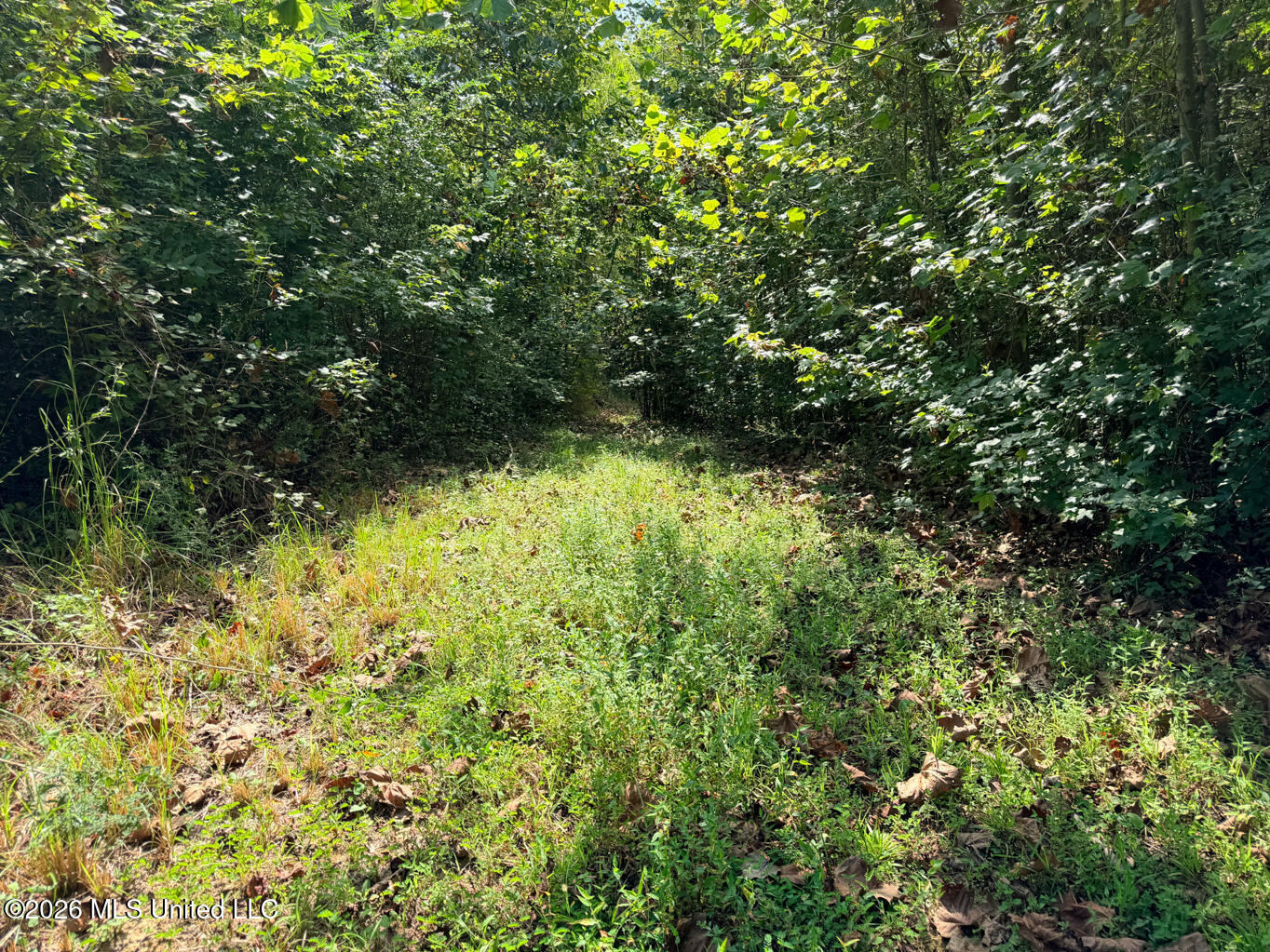 20 Shelley Drive Property Photo 41
