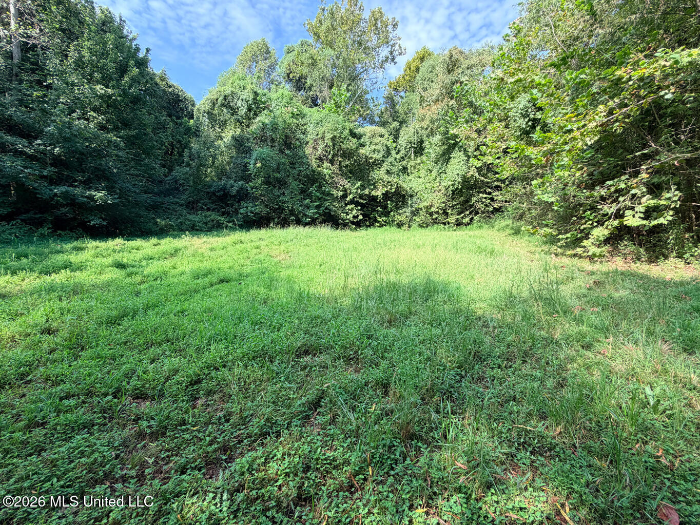 20 Shelley Drive Property Photo 42