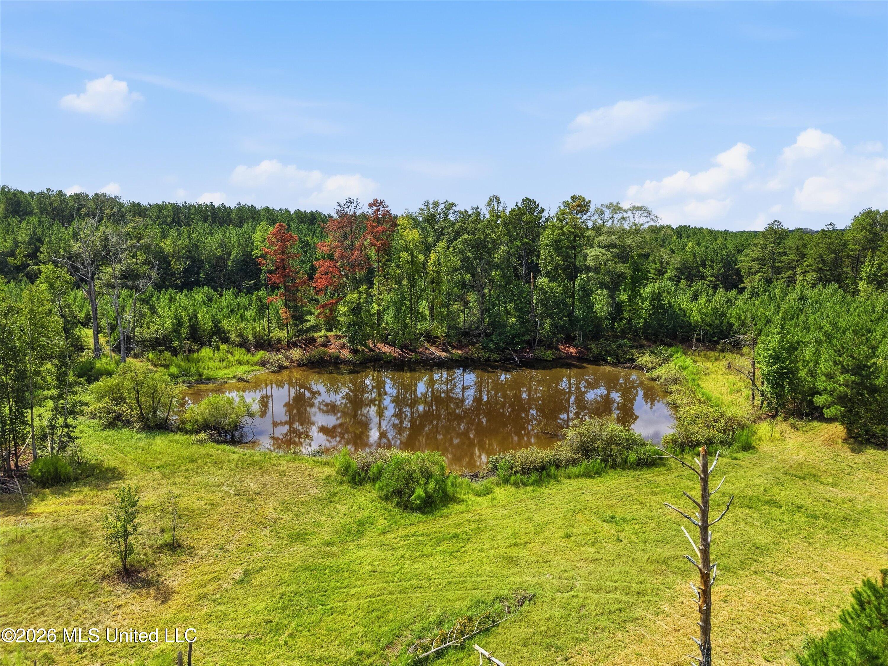 Ms-35 Property Photo 3