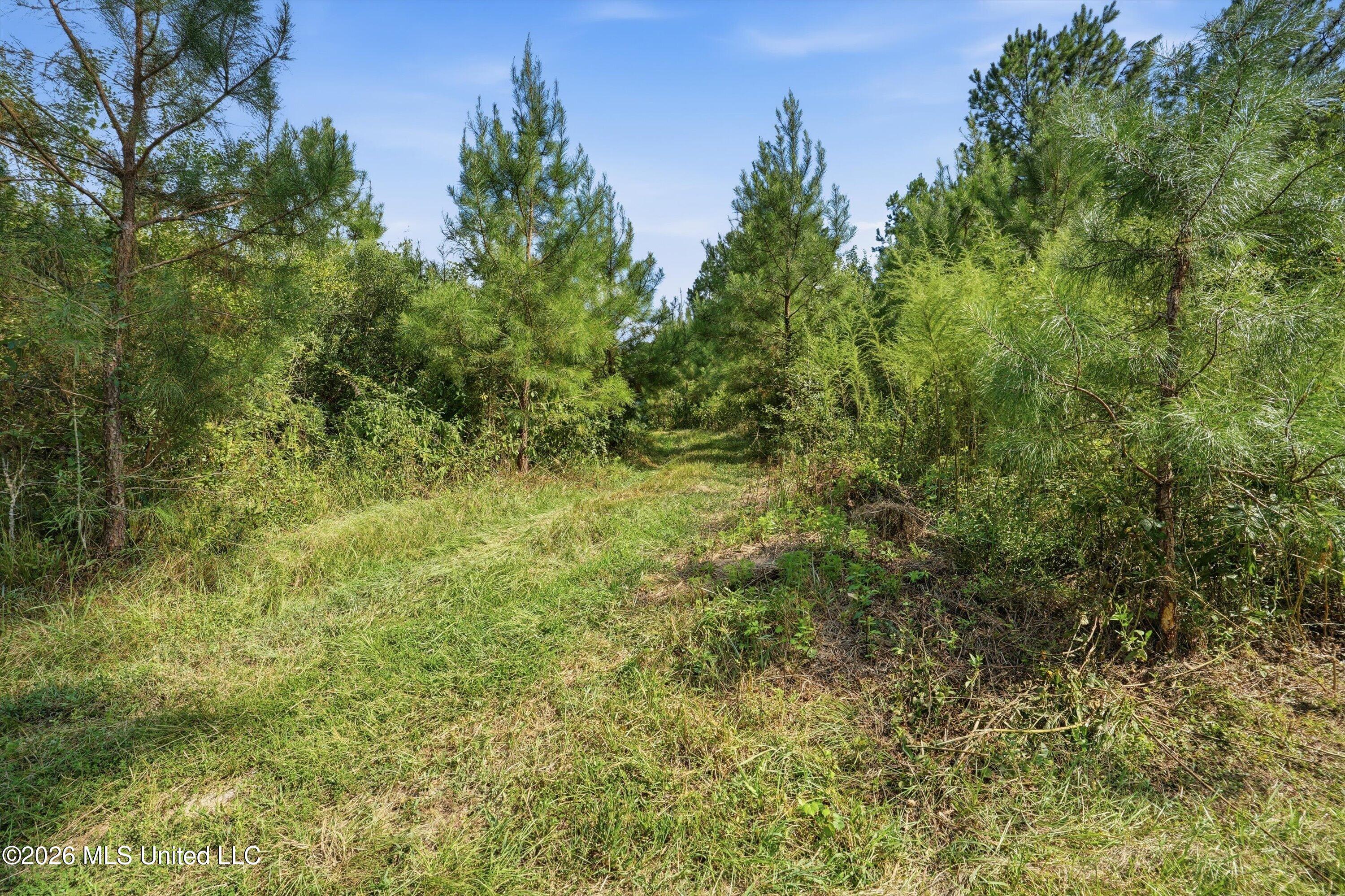 Ms-35 Property Photo 15