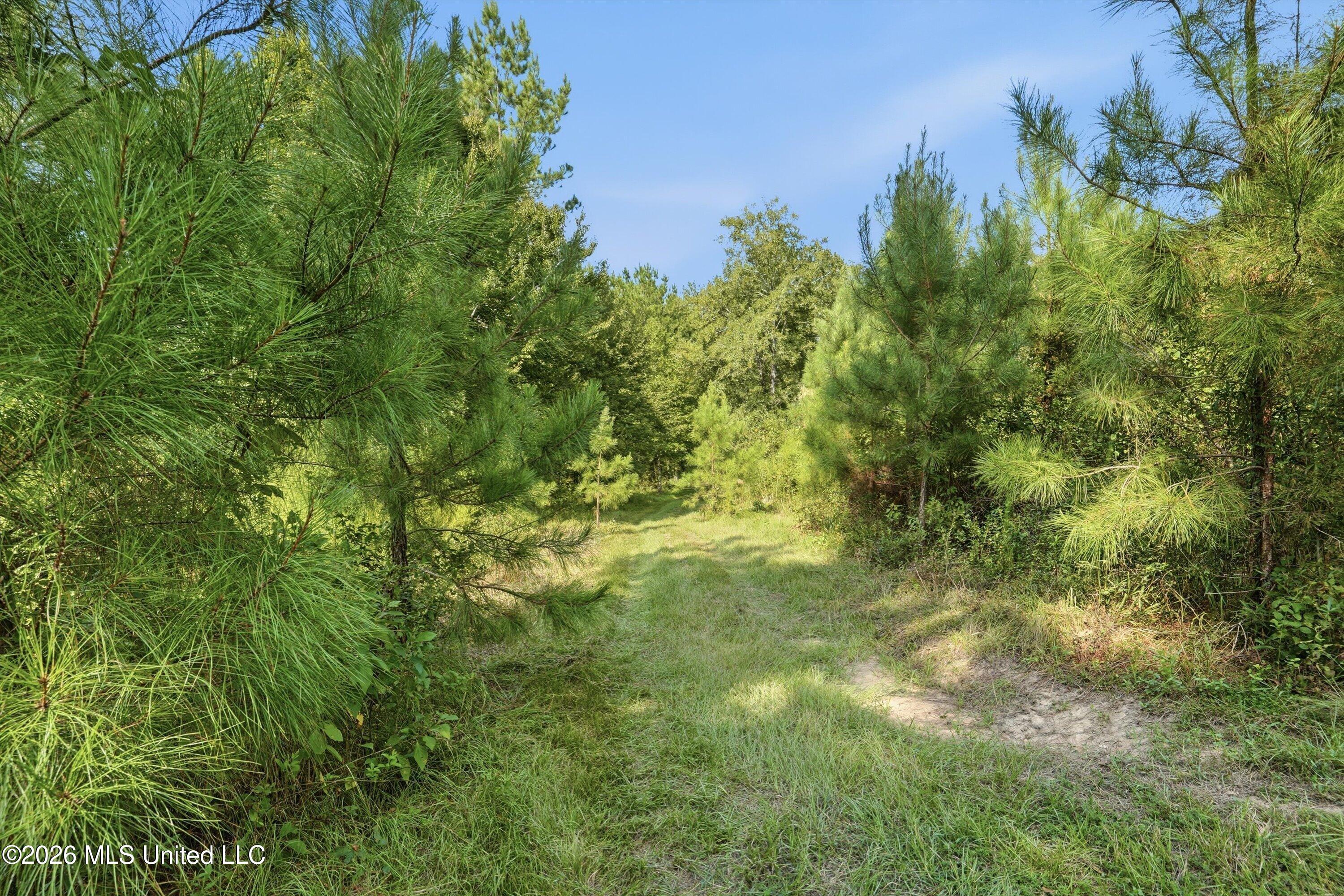 Ms-35 Property Photo 16