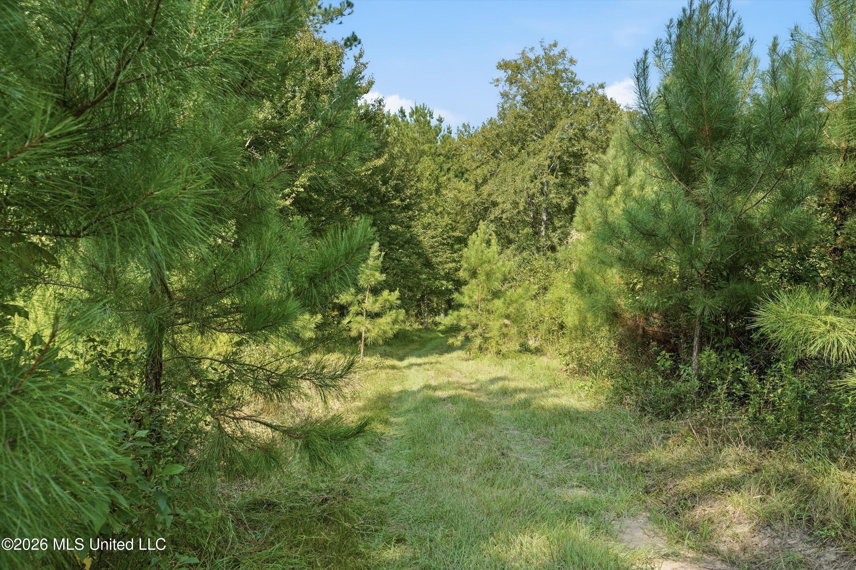 Ms-35 Property Photo 17